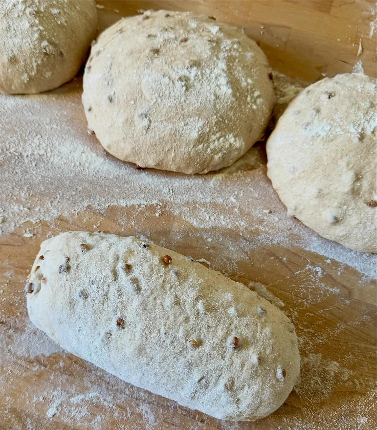 Purple Karma Barley in progress. Tomorrow we'll be at the Hollywood Market from 8am until 1pm, and here's the bread lineup: 🌾Purple Karma Barley, 🌾Einkorn Pepita, 🌾Walnut Red Fife, 🌾 Volkornbrot, 🌾 Seeded Buckwheat (Wheat Free). Let me know if I