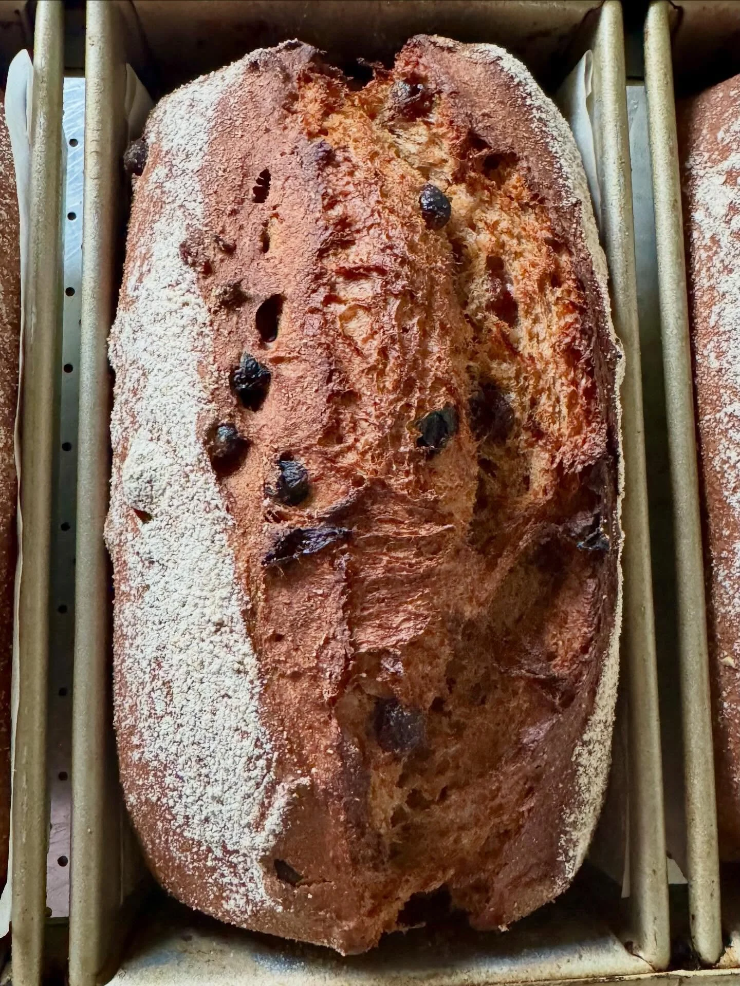 Red Fife Raisin Cardamom. We will be at Hollywood tomorrow morning with crackers, crisps, granola, and this bread lineup: 🌾Purple Karma Barley, 🌾Einkorn Pepita, 🌾Walnut Red Fife, 🌾Red Fife Raisin Cardamom, 🌾 Seeded Buckwheat (Wheat Free). See yo