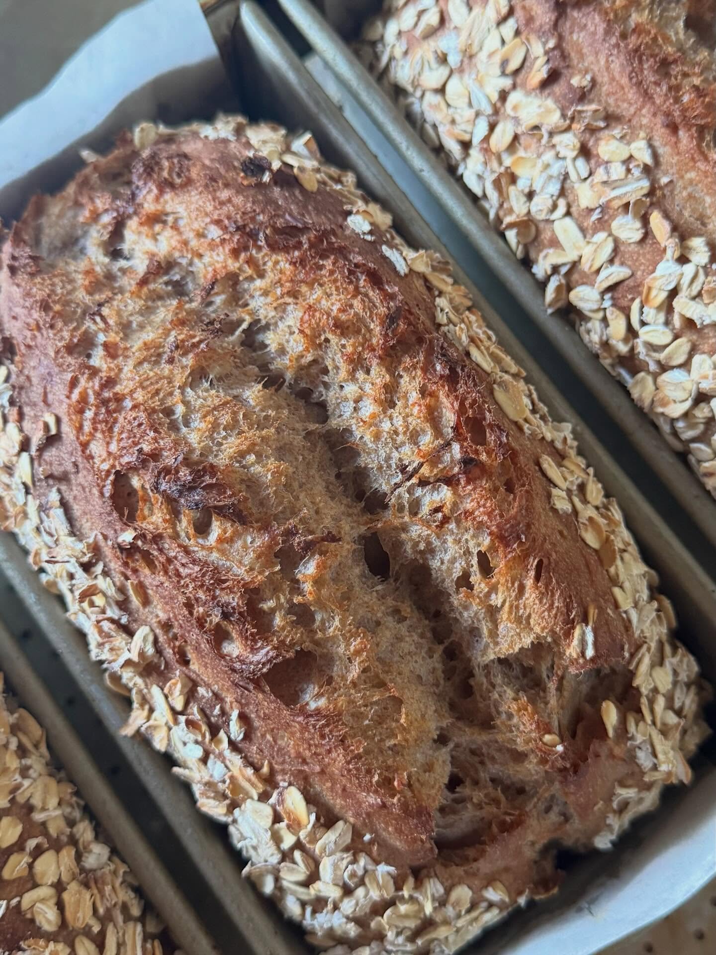 Whole wheat oat porridge is back at Hollywood tomorrow. Come see us between 8am and 1pm for crackers, crisps, granola and whole-grain sourdough bread. Here's the loaf lineup: 🌾Purple Karma Barley, 🌾Einkorn Pepita, 🌾Walnut Red Fife, 🌾Whole Wheat O
