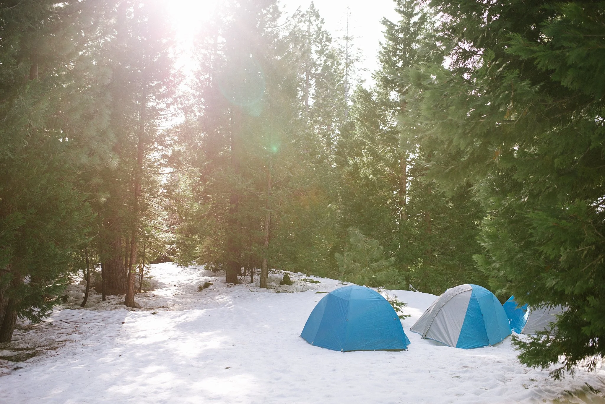 TrailMavensSnowshoeing_0015.jpg