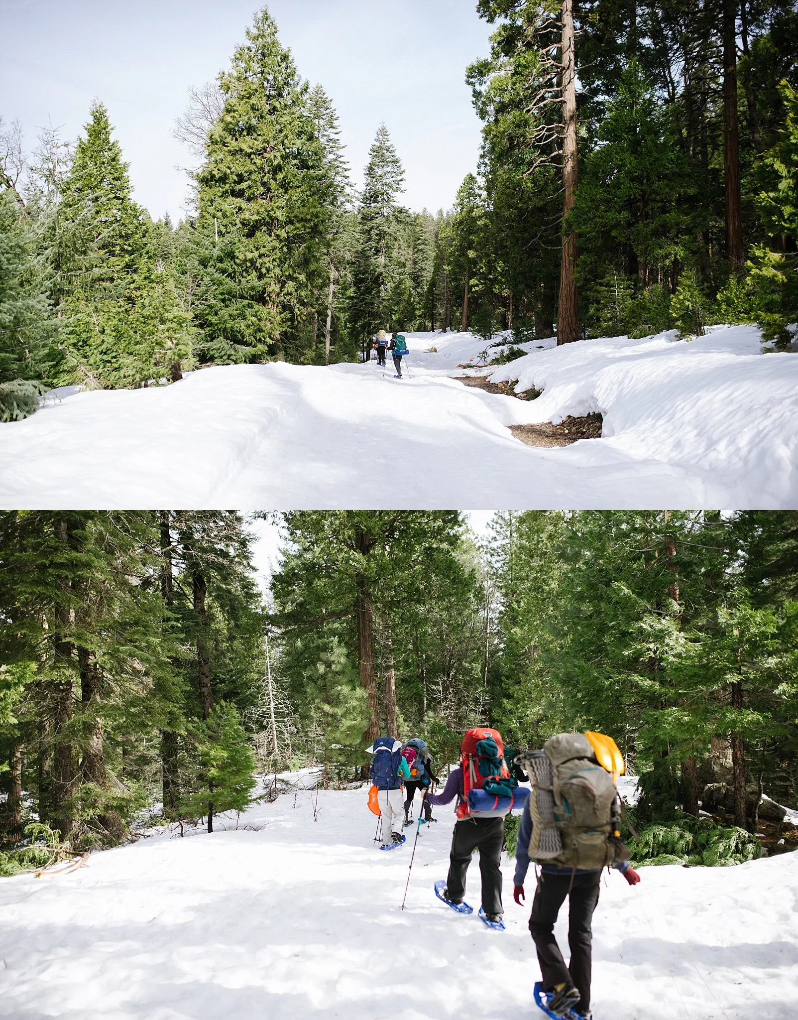 TrailMavensSnowshoeing_0019.jpg