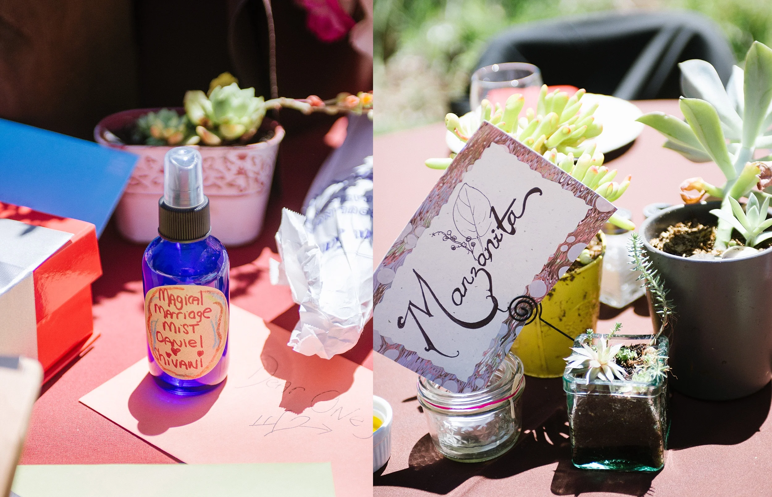 ShivaniDanielWedding_0010.jpg