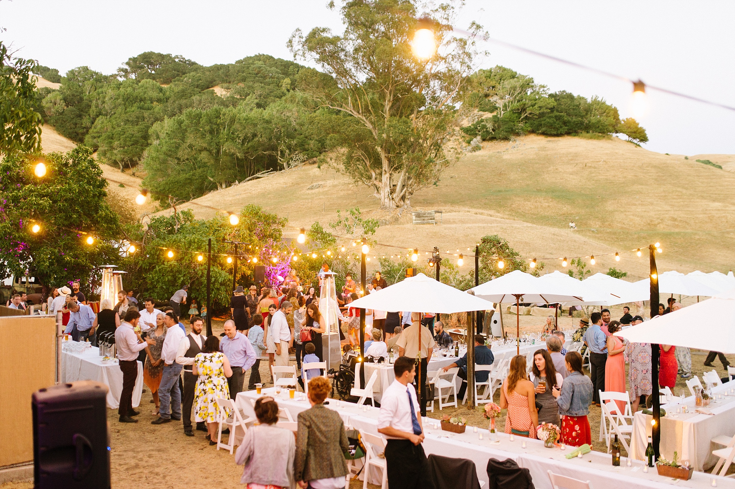 fairfax_ranch_wedding_chelsea_dier_photography_0055.jpg