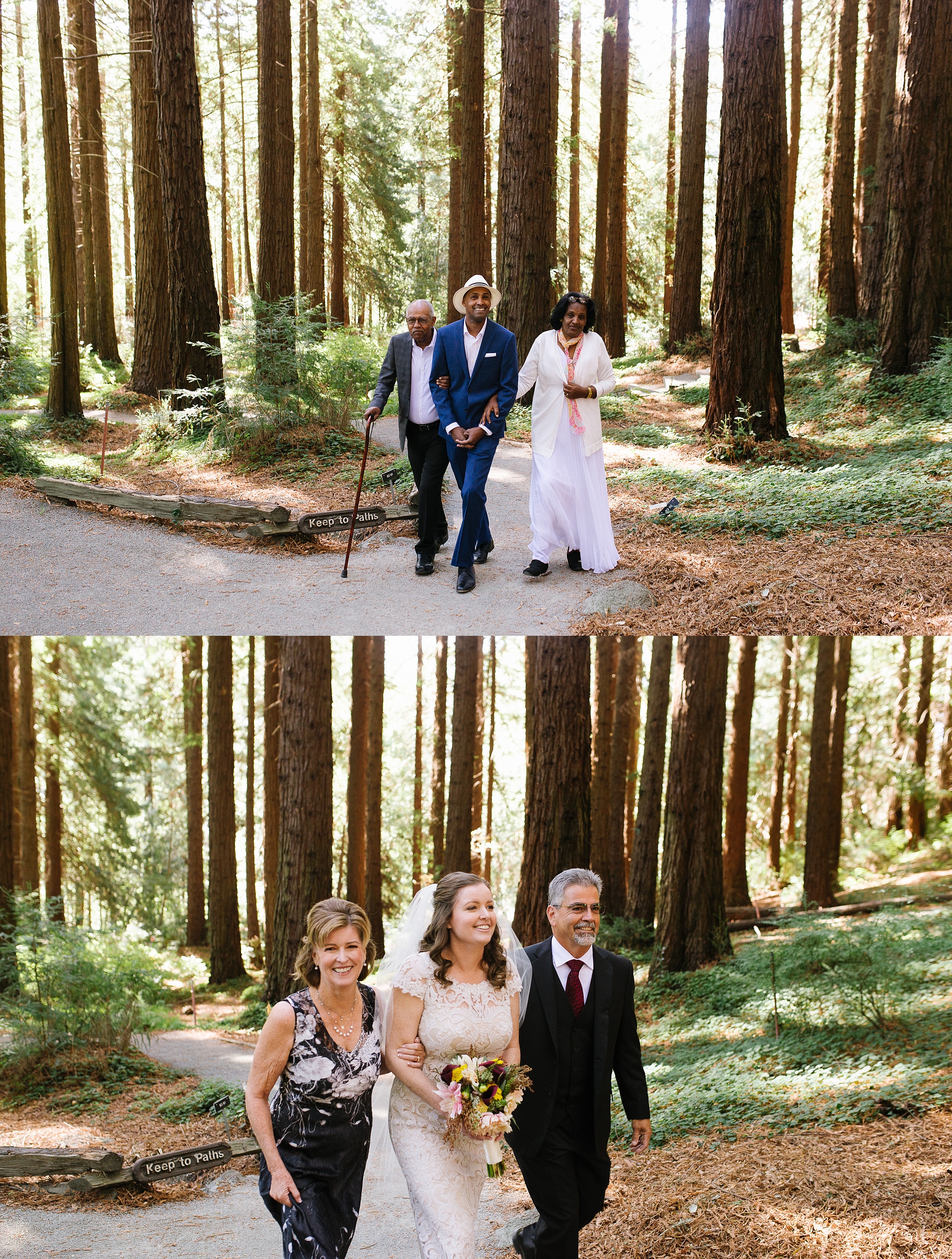 ucberkeley_botanical_redwoods_outdoor_wedding_jennyrez_cdp_0011.jpg