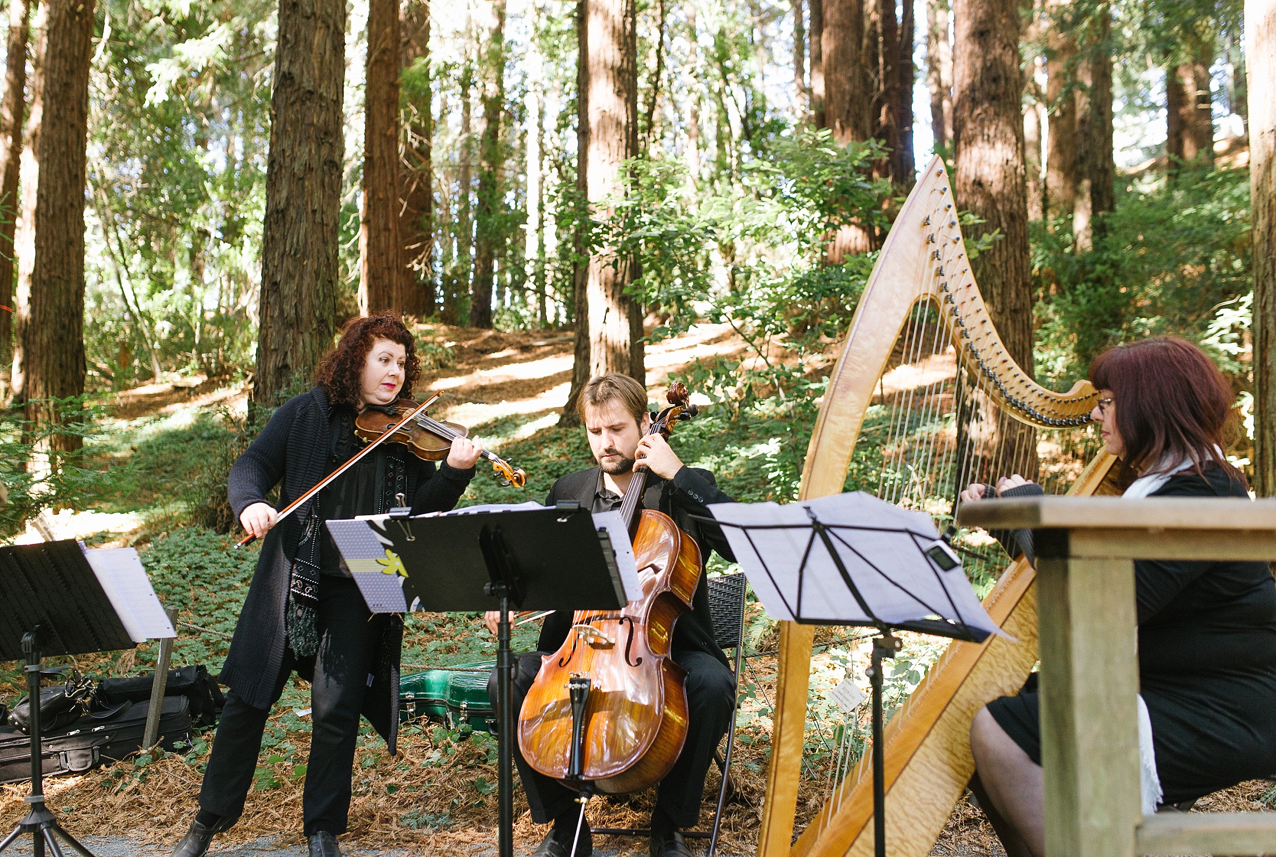 ucberkeley_botanical_redwoods_outdoor_wedding_jennyrez_cdp_0013.jpg