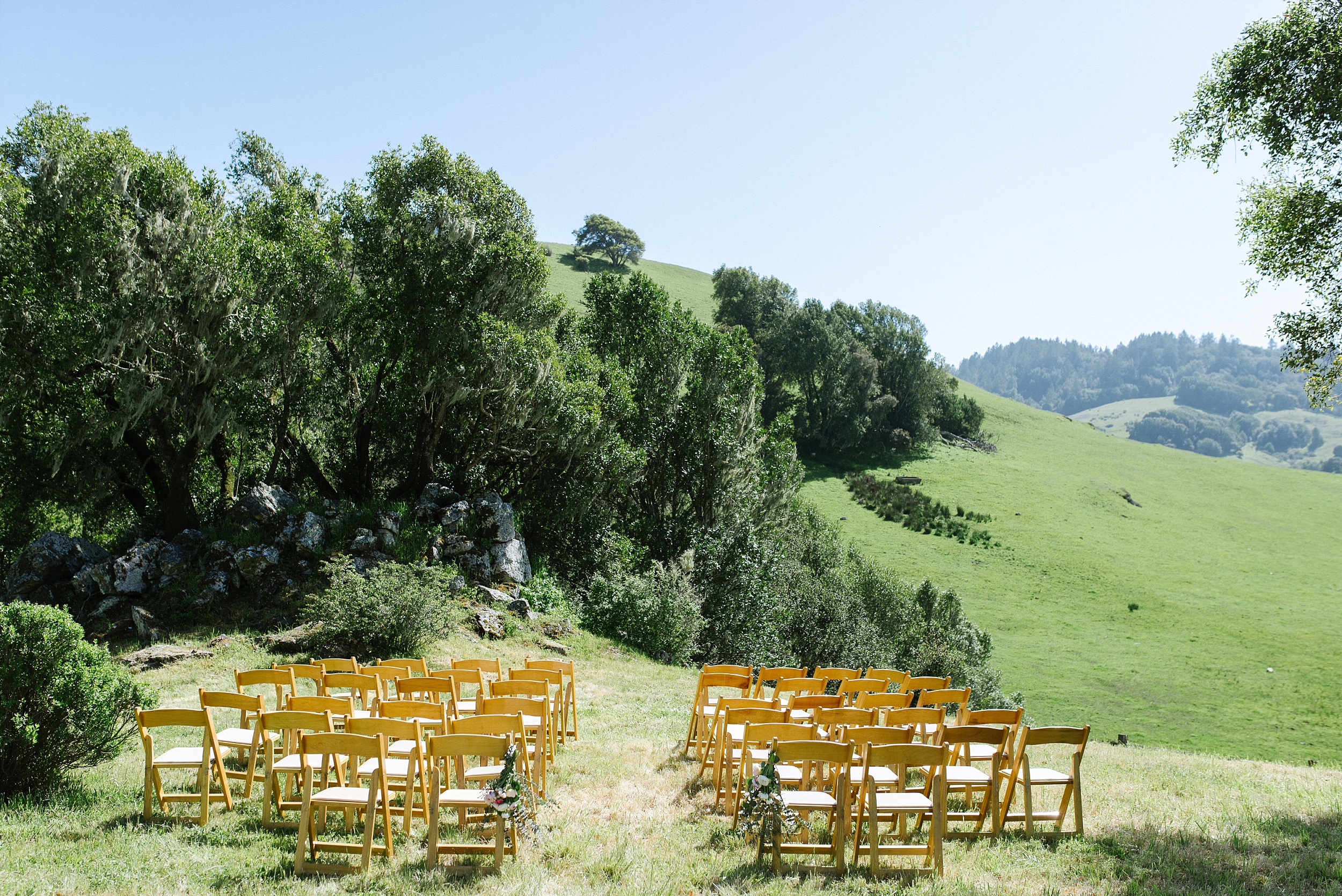 nicasio_backyard_intimate_wedding_chelseadierphotography_0050.jpg