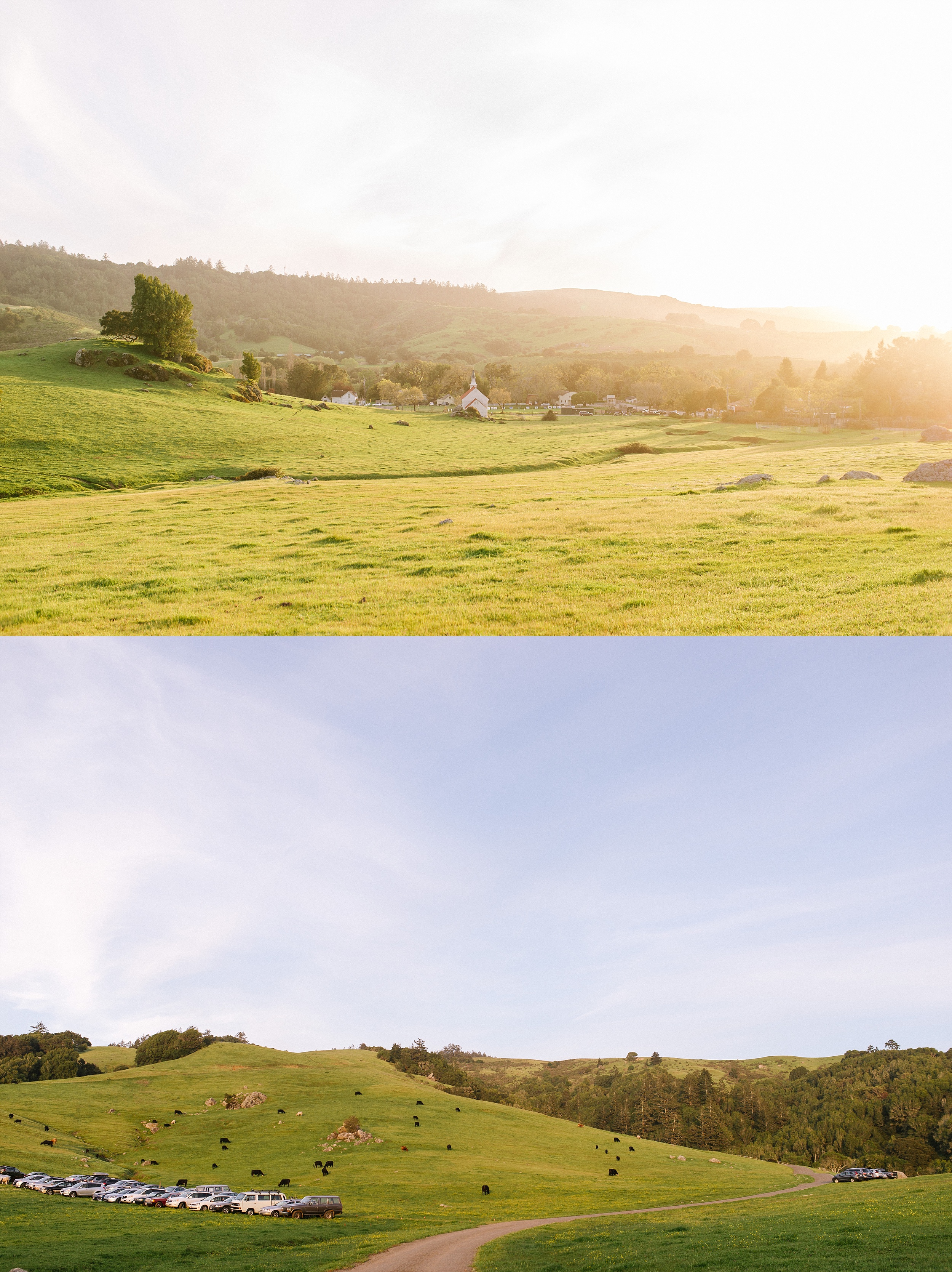 nicasio_backyard_intimate_wedding_chelseadierphotography_0060.jpg