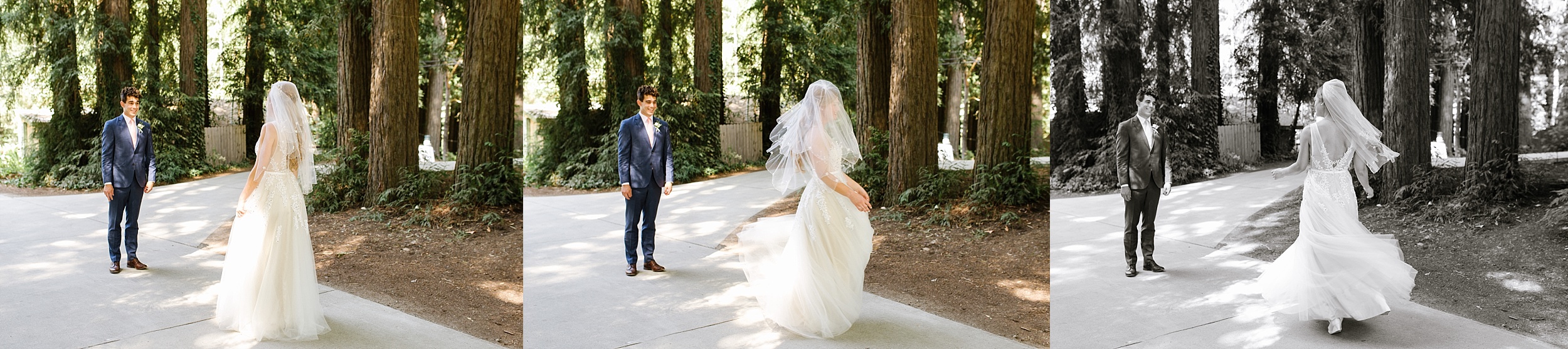 Amphitheatre-of-the-Redwoods-wedding-erikariley_chelsea-dier-photography_0007.jpg