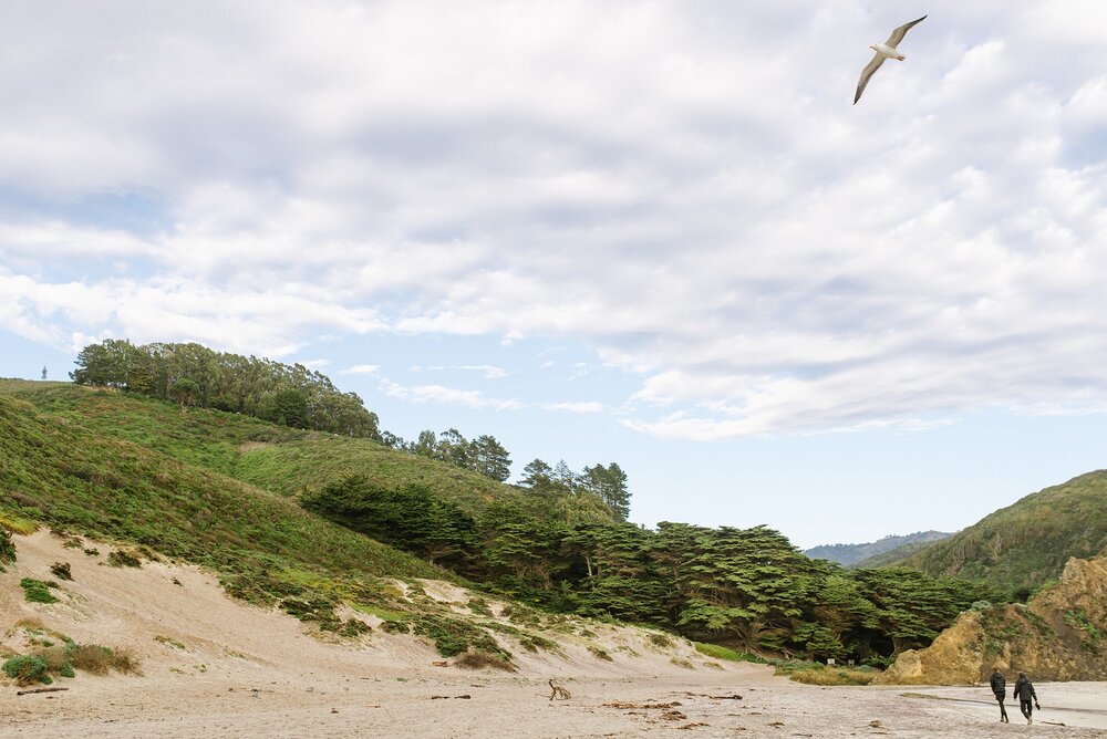 Big-Sur--California-car-camping-adventure-cdp_0007.jpg