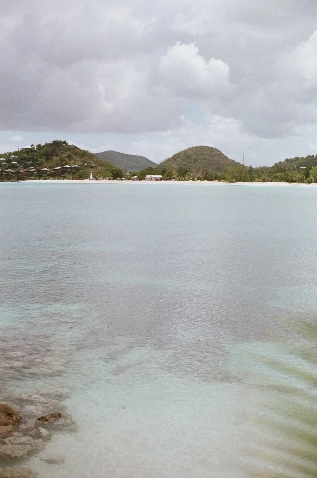 50720027.jpg