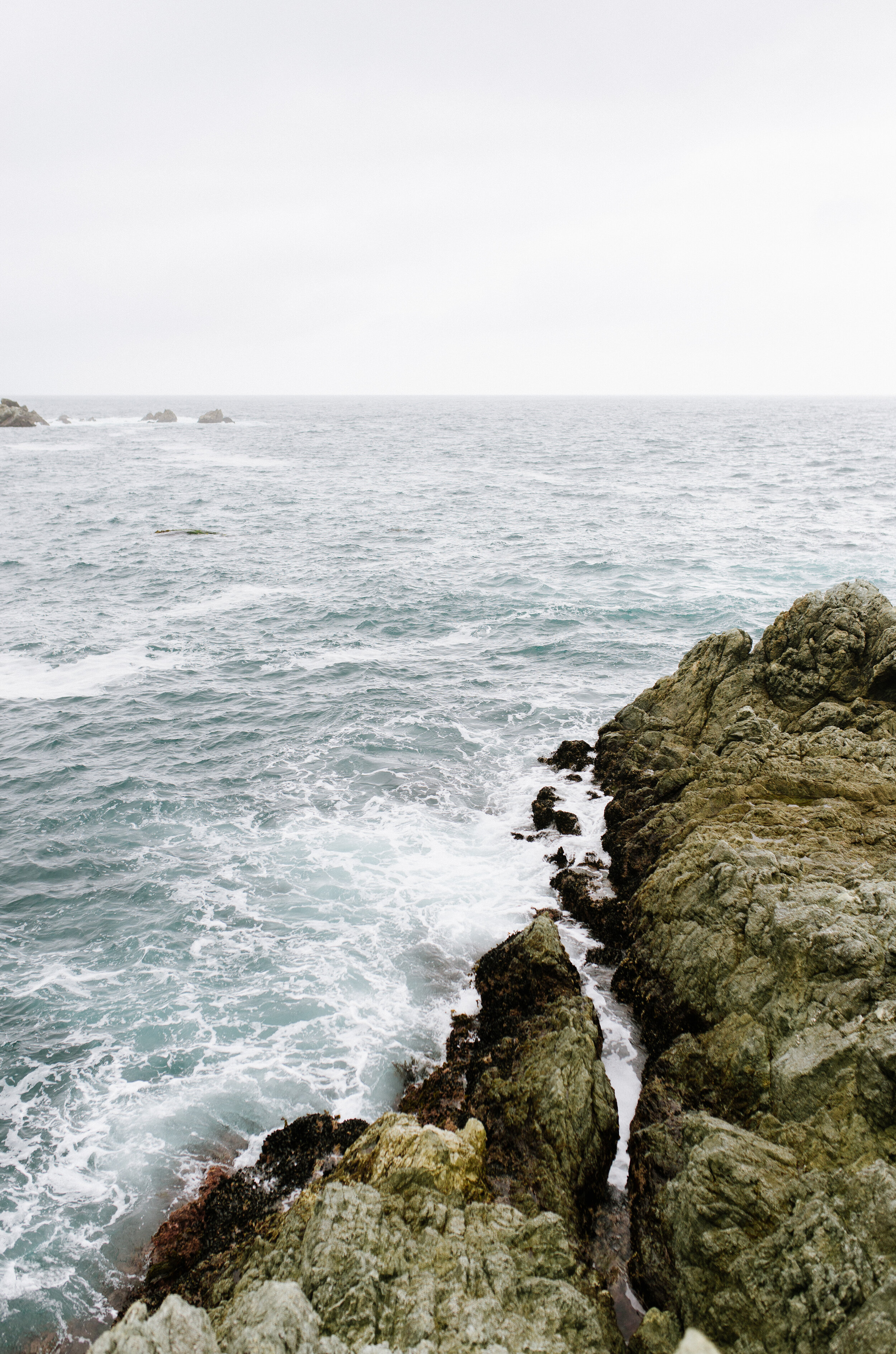 BigSur_March2020_cdp-52.jpg