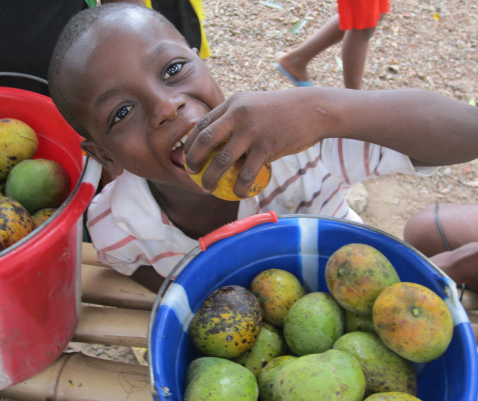 We Had A Delicious Mango Harvest!