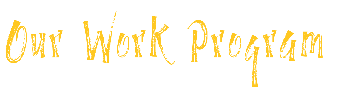 Our Work Program (1).png