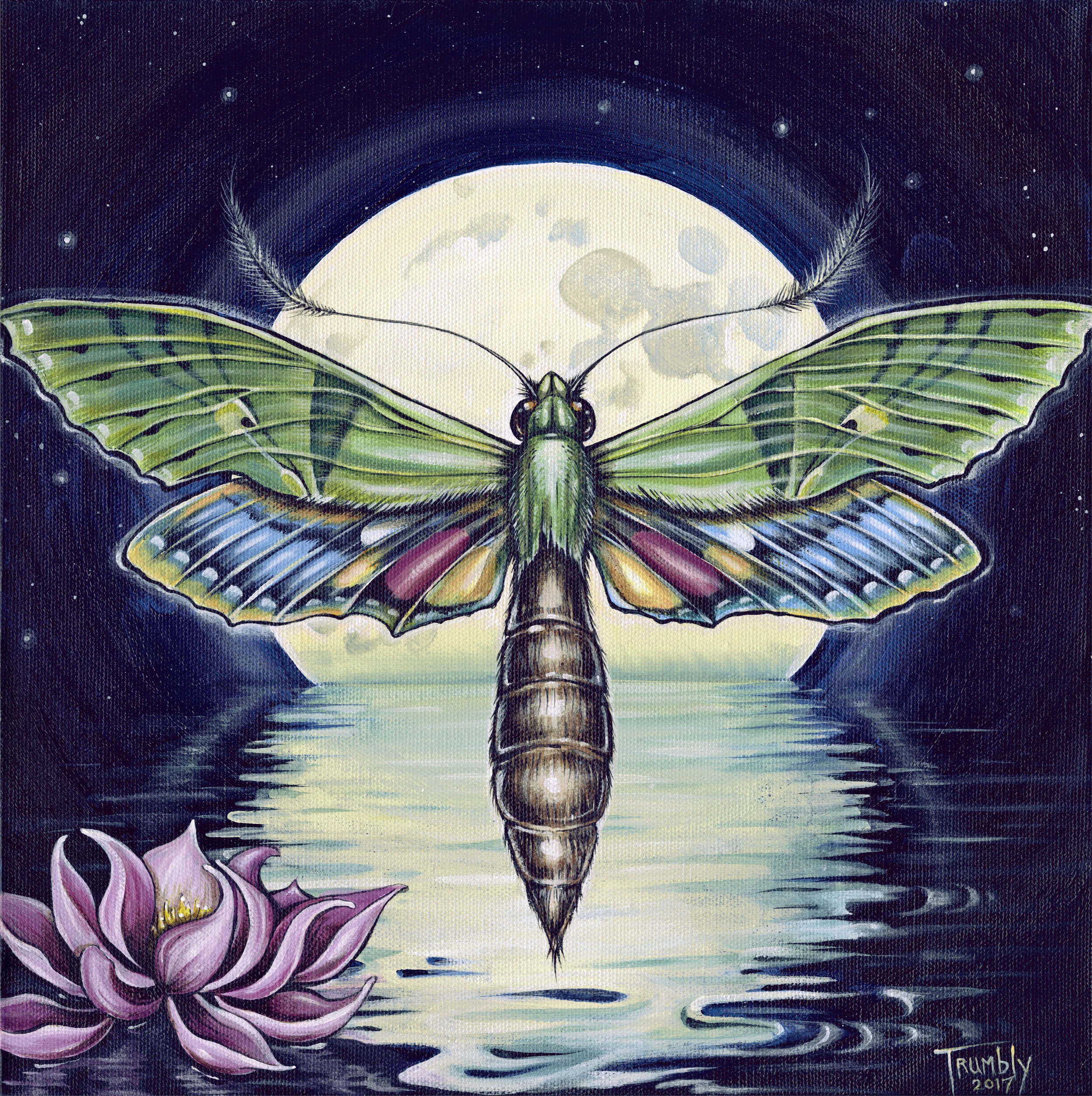 ST MOth and the moon 12 X 12 final for flash sale jpglarge.jpg