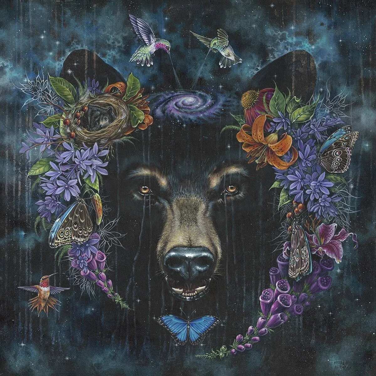 butterfly constellation.jpg