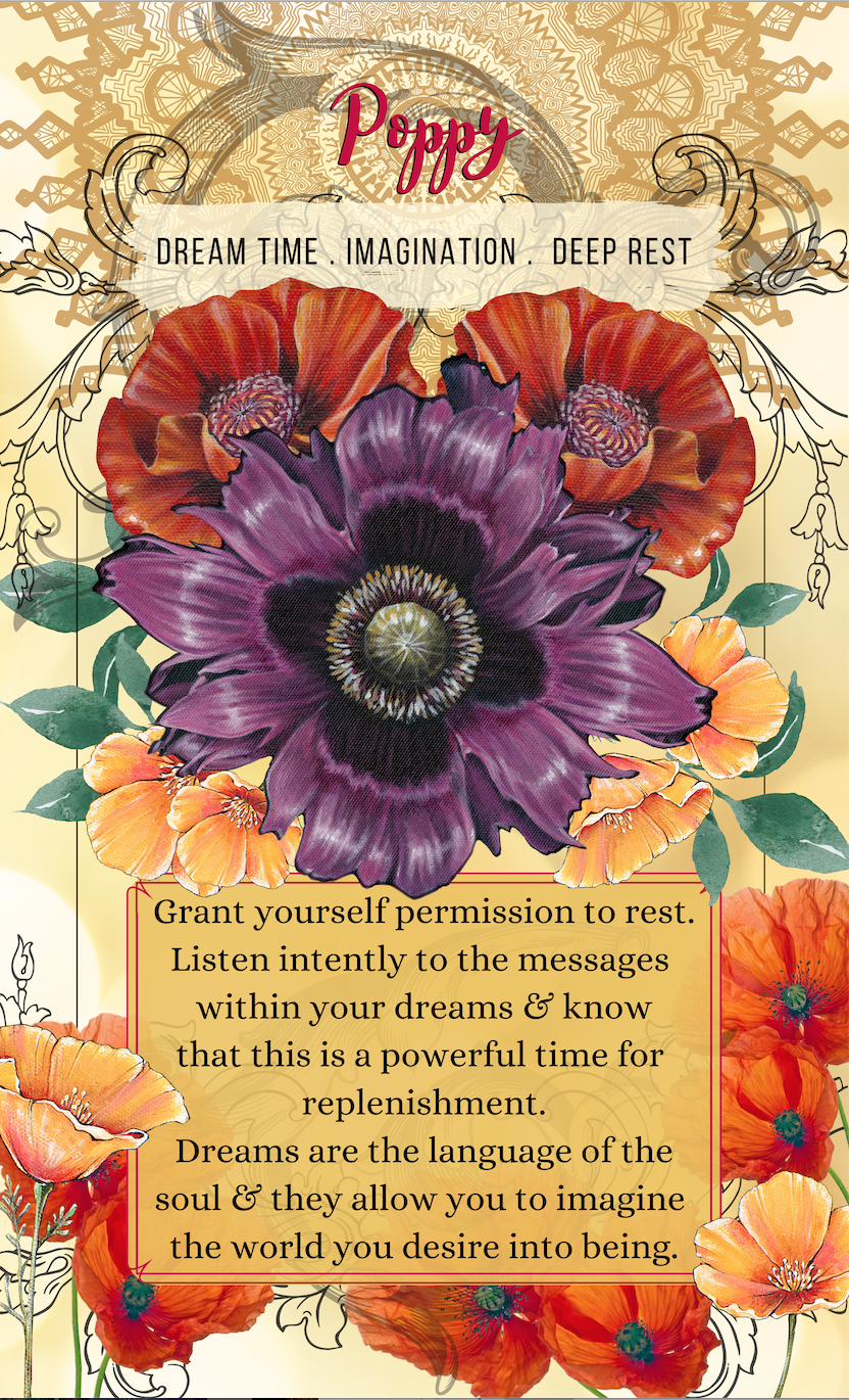 the Messenger's Delivery Oracle Card Deck — Shanna Trumbly