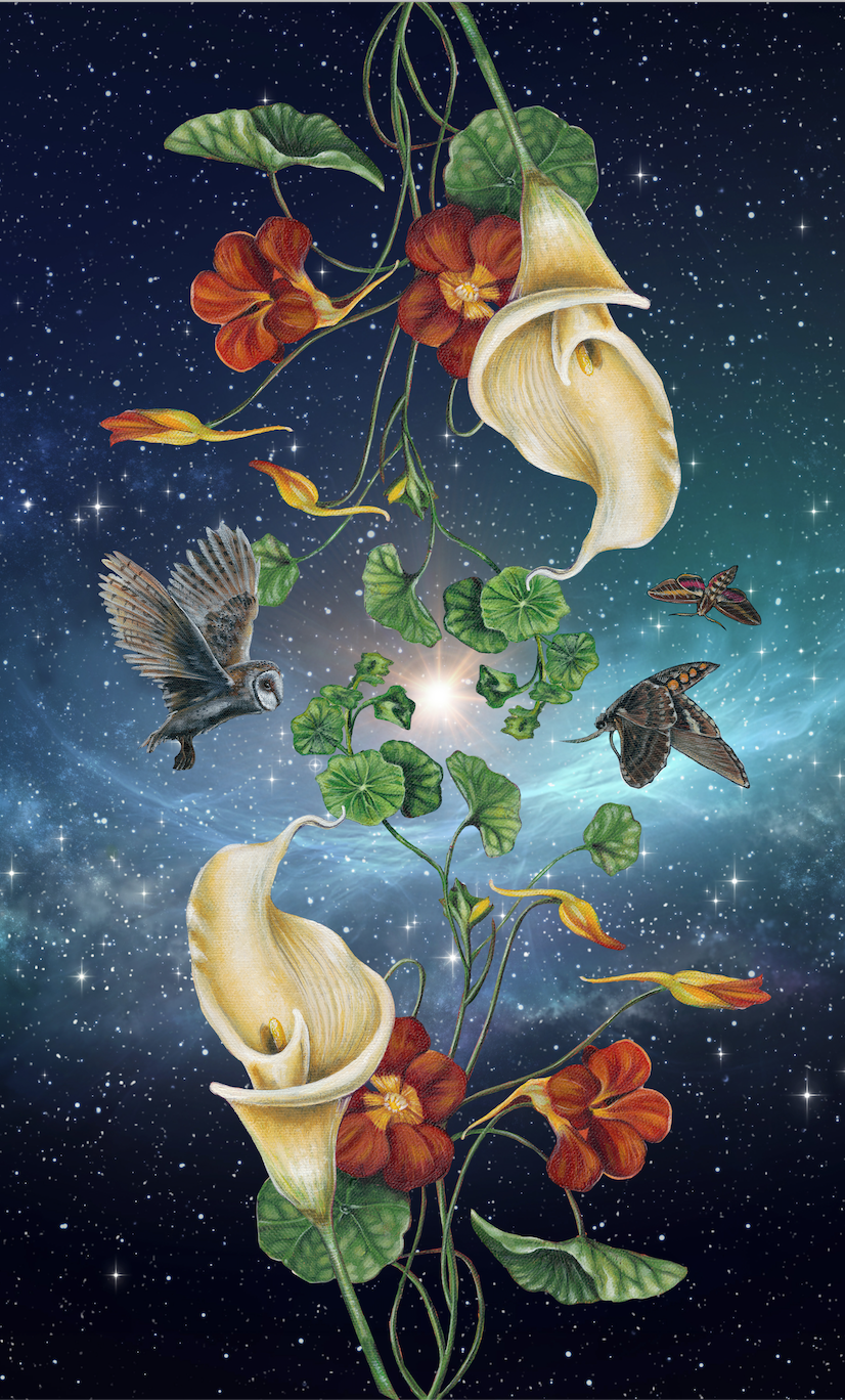 Screen Shot 2020-12-04 at 10.41.13 AM.png