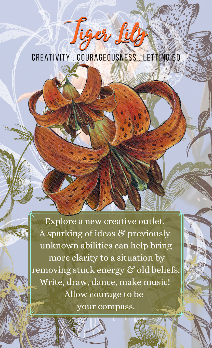 Screen Shot 2020-12-04 at 10.43.21 AM.png