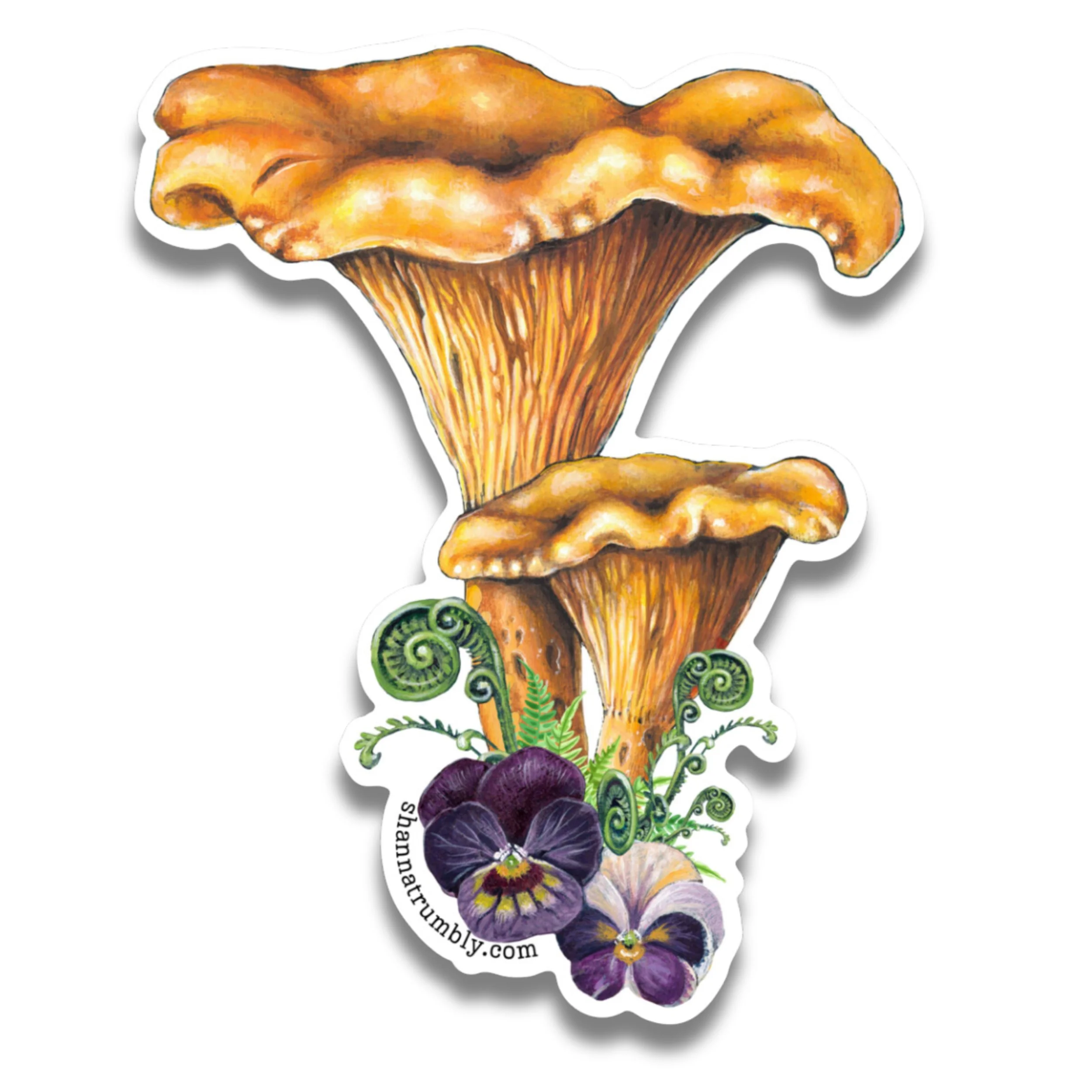 Chanterelle cataogue pic.jpg