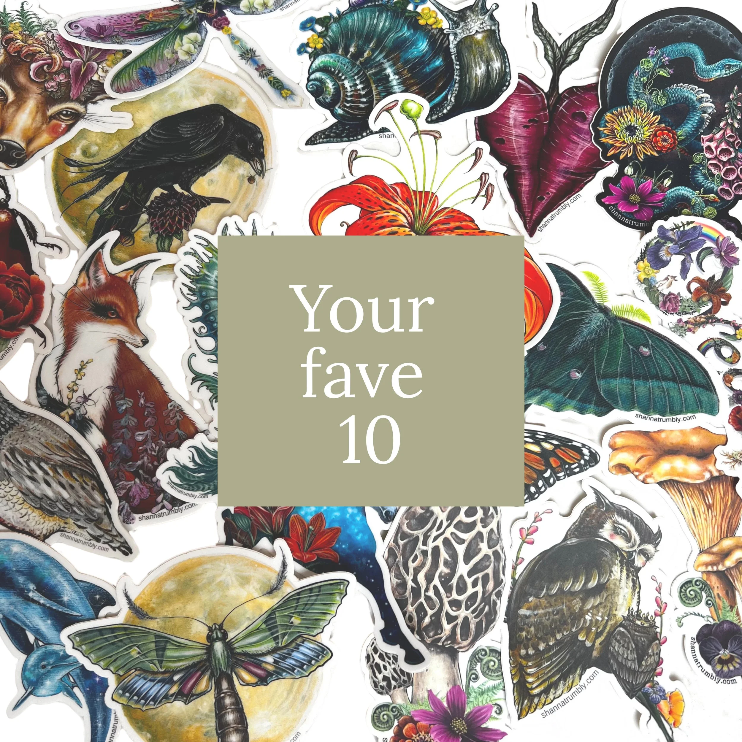 sticker 10 pack copy.jpg