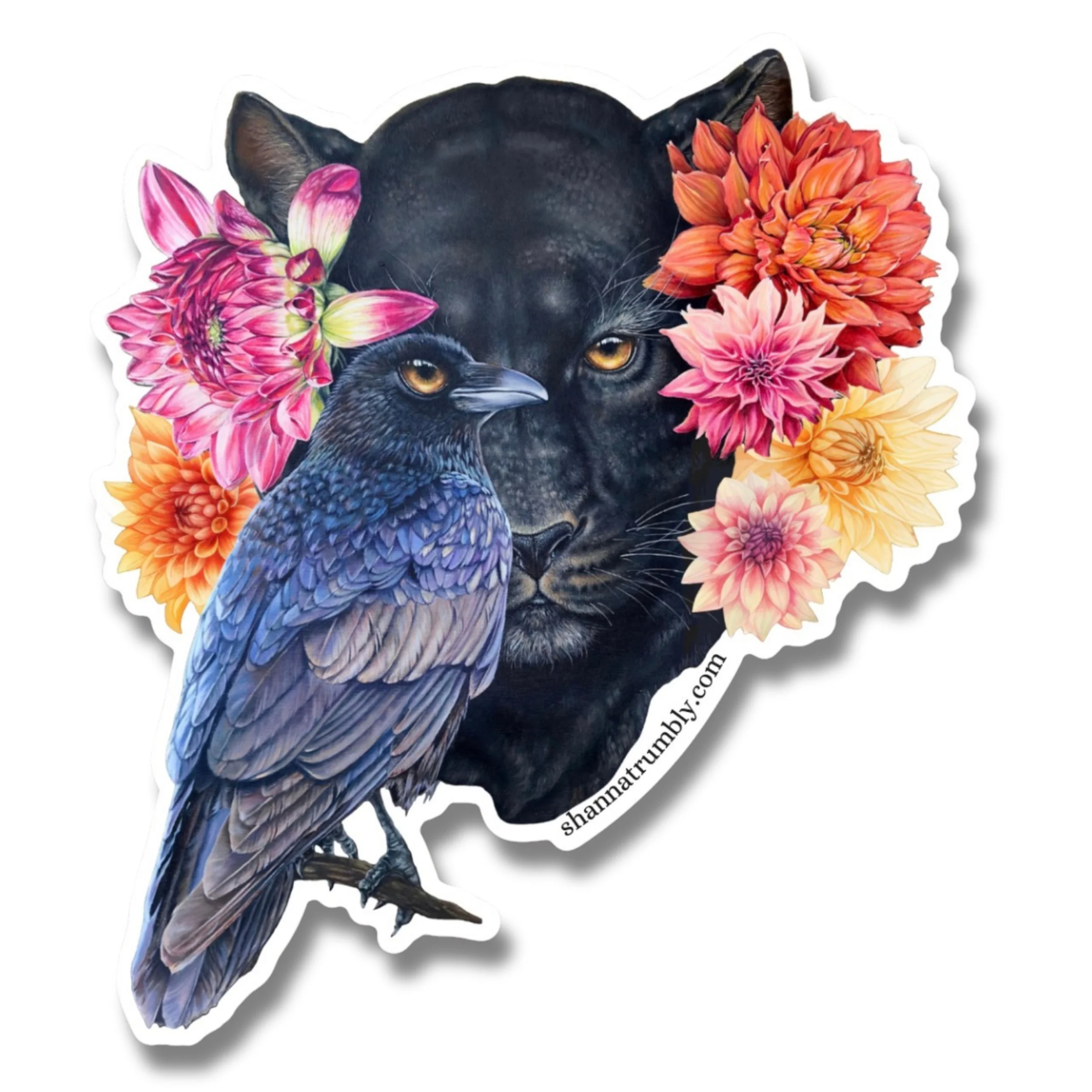 panther sticker.jpg