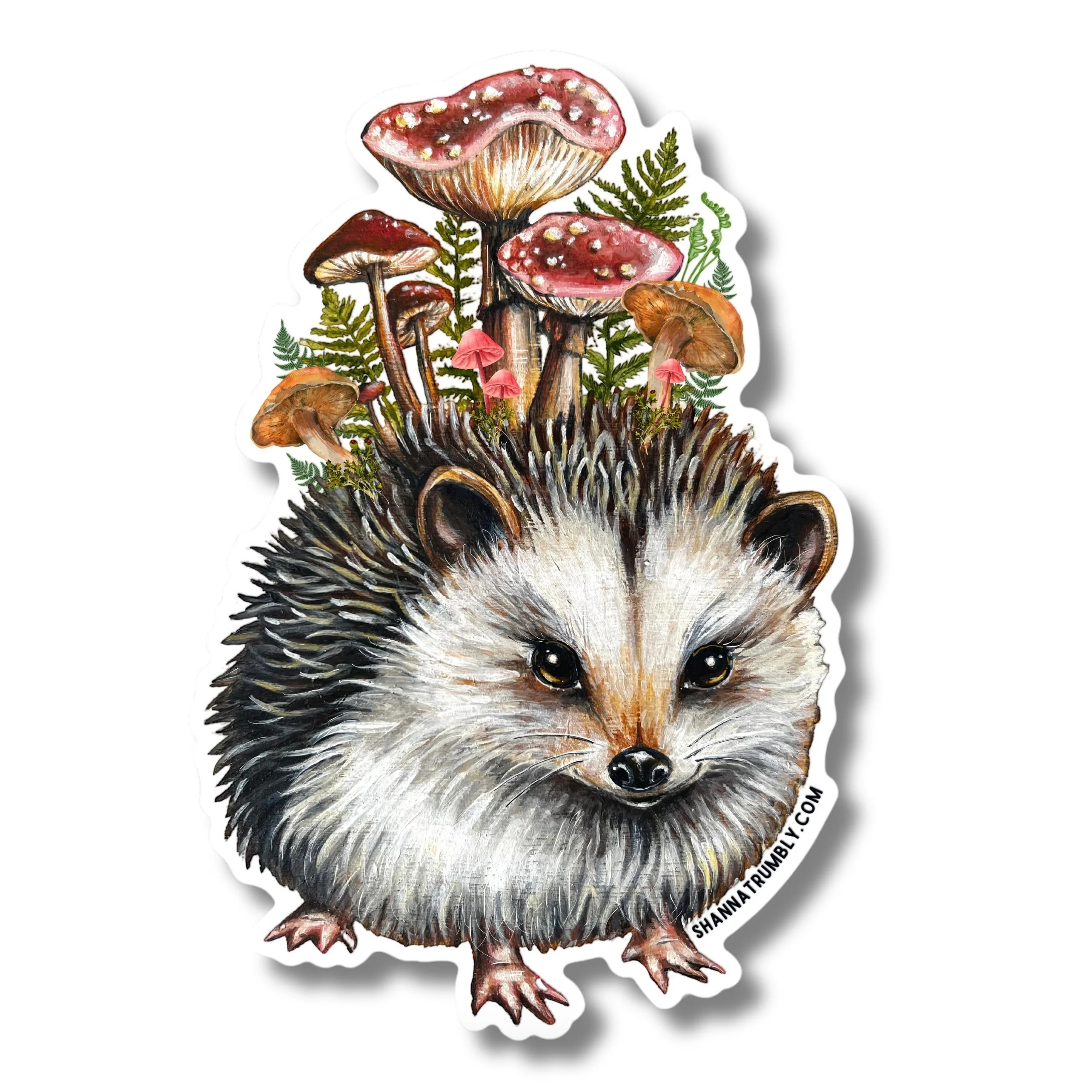 square hedgehog.jpg