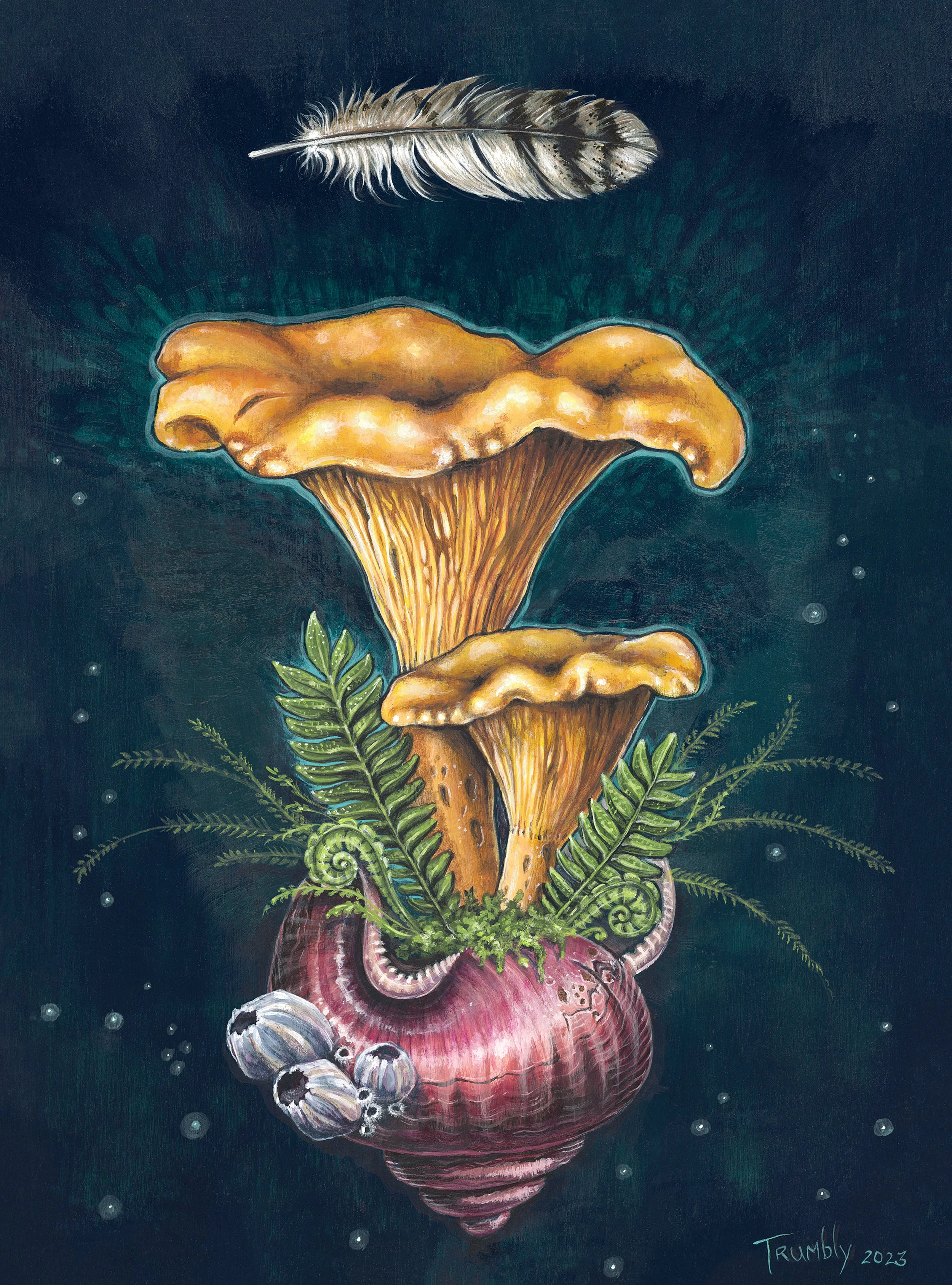 Lady Chanterelle.jpg