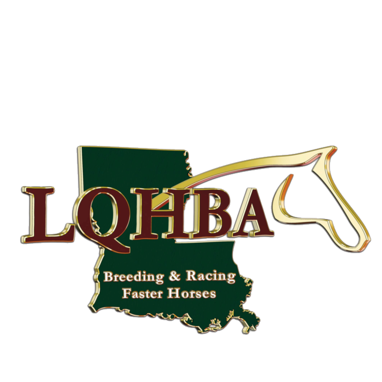 LQHBA Presents The LA MILLION and $15,000 in LQHBA SCHOLARSHIPS!!!