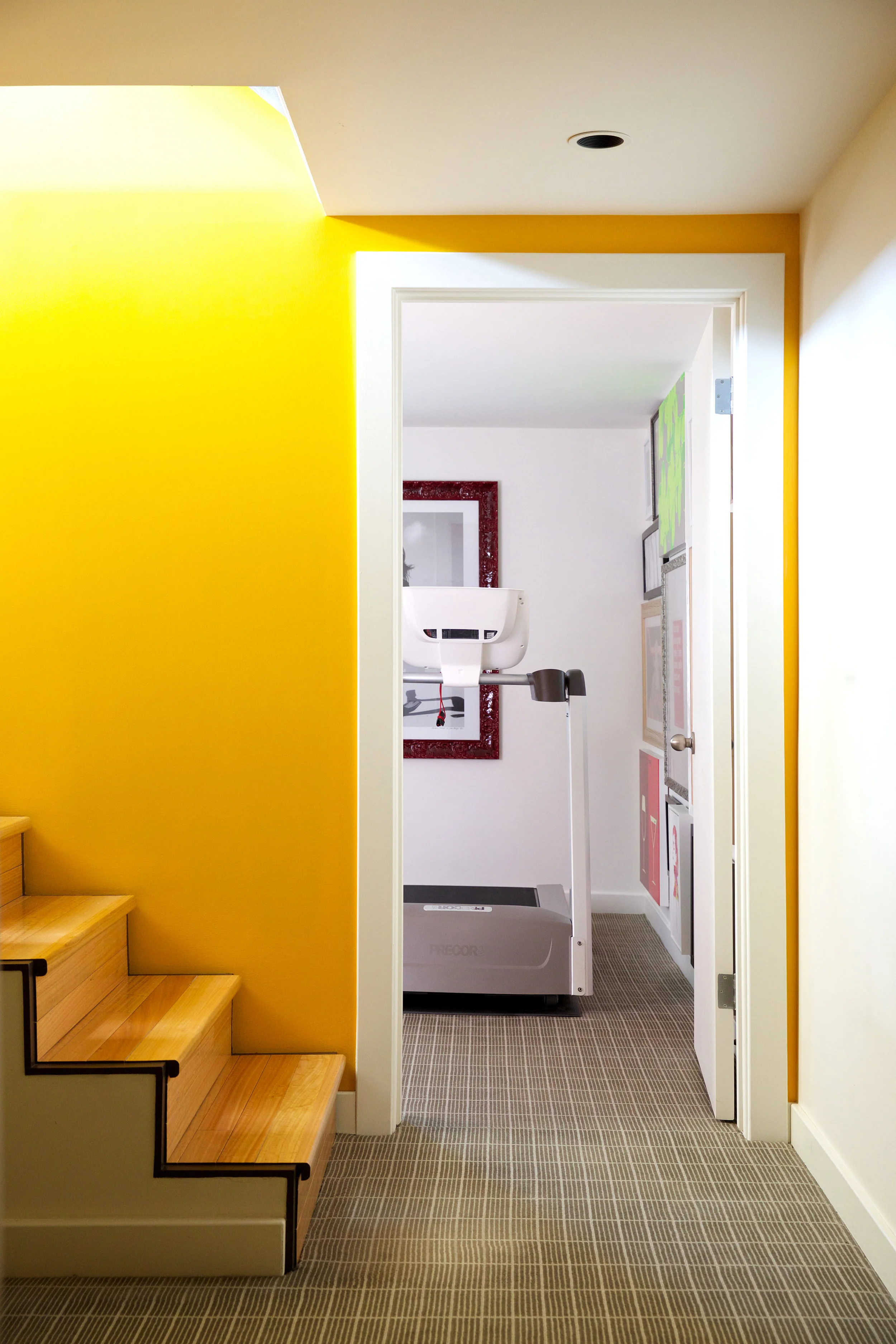Pumphill Home, Home Gym, Nyla Free Designs Inc., Calgary Interior Designer, Phil Crozier Photography