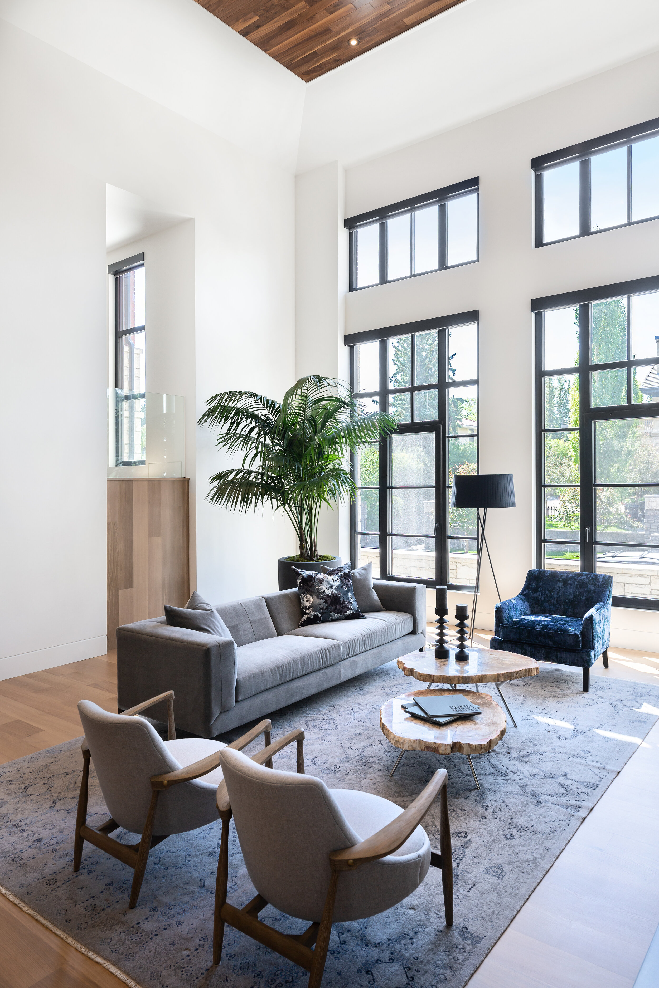 Modern Living Space, Mount Royal, Nyla Free Designs, Calgary Interior Designer, Davignon Martin Architecture, Stonewater Homes, Phil Crozier Photography