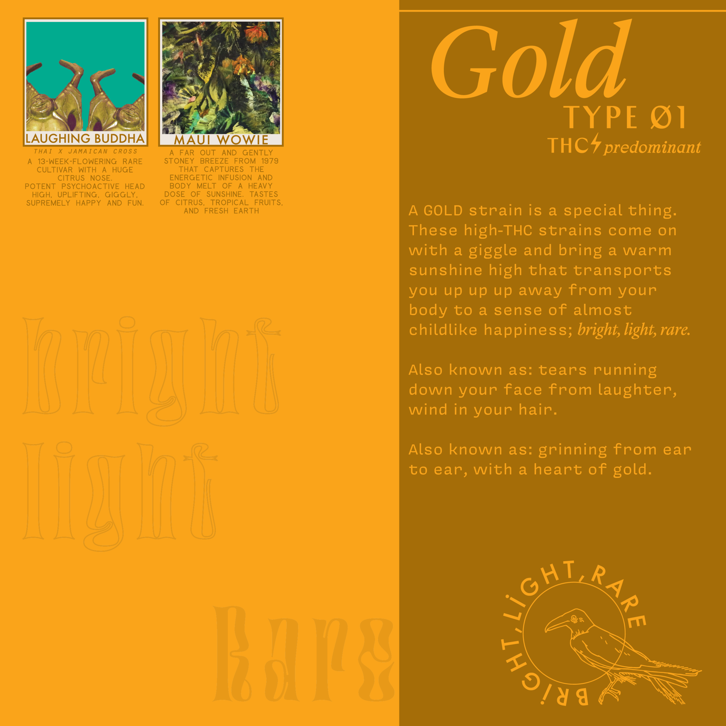 07_GOLD_EDUBOOK-01.png