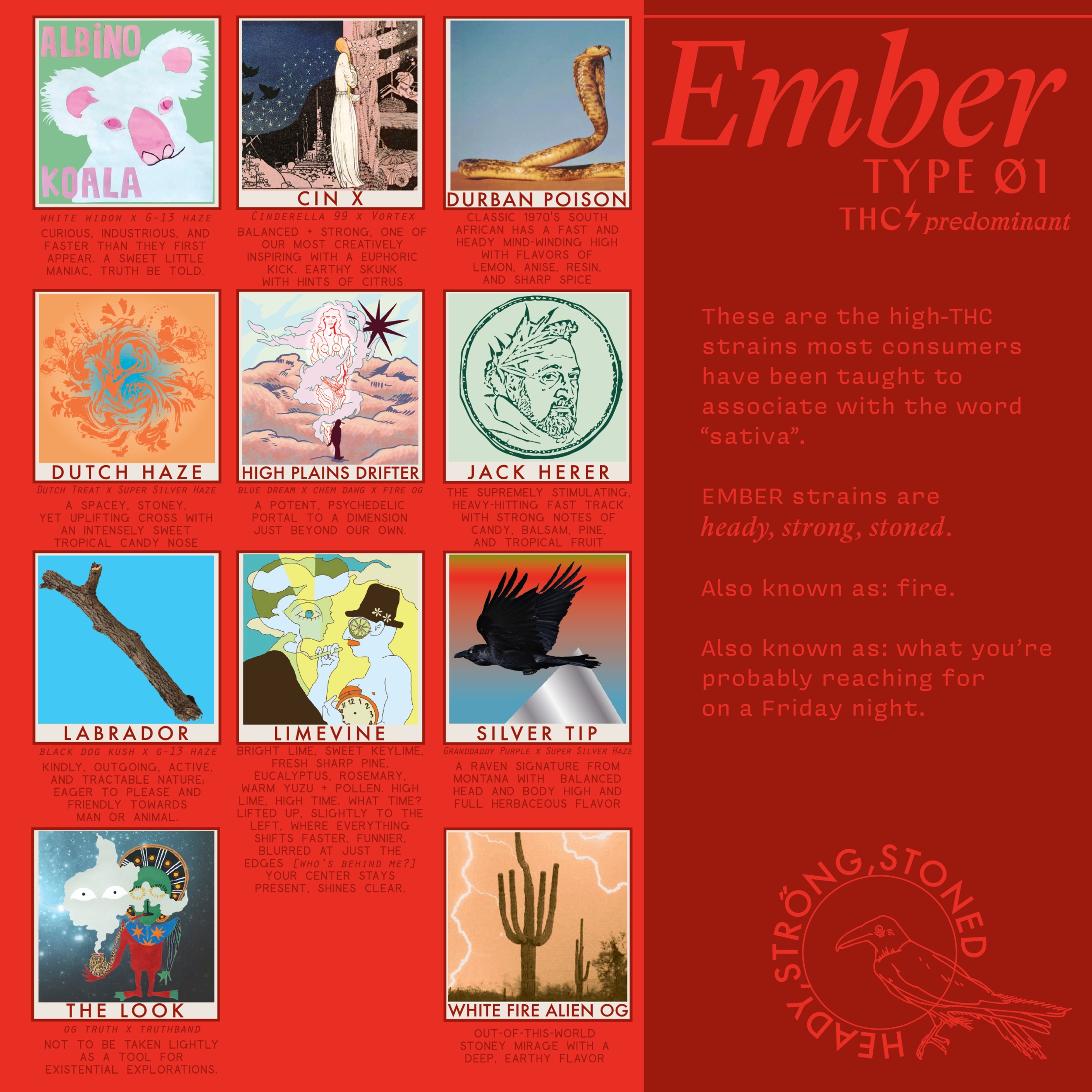 06_EMBER_EDUBOOK-01.png