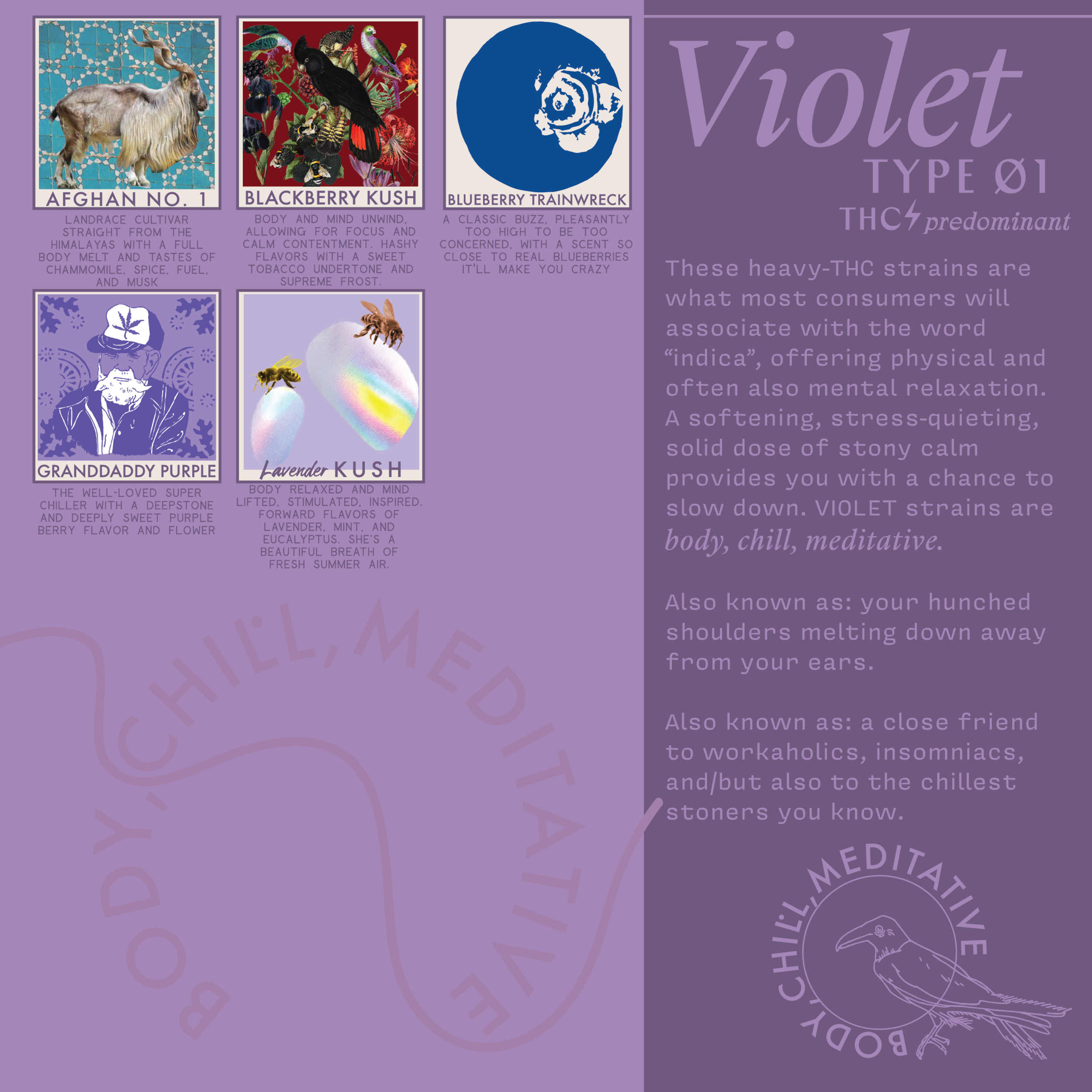08_VIOLET_EDUBOOK-01.png