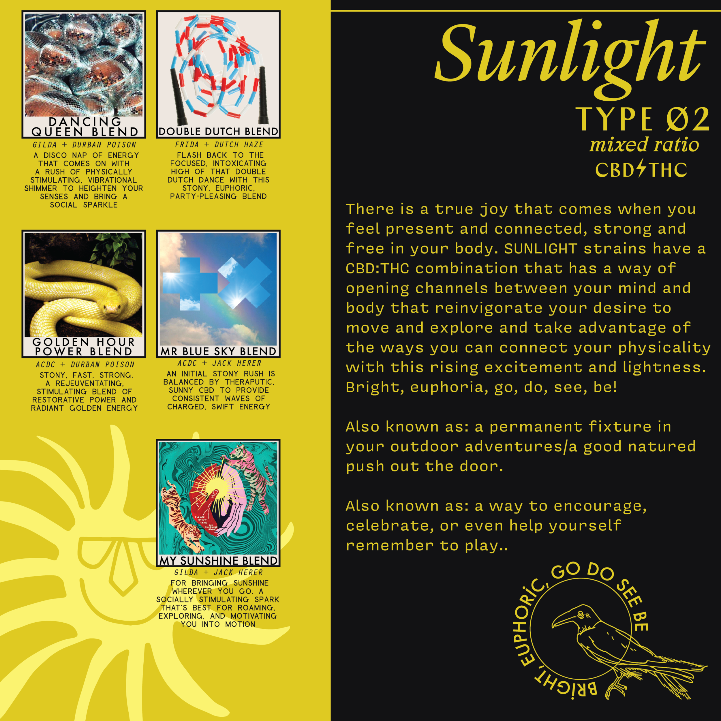 10_SUNLIGHT_EDUBOOK-01.png