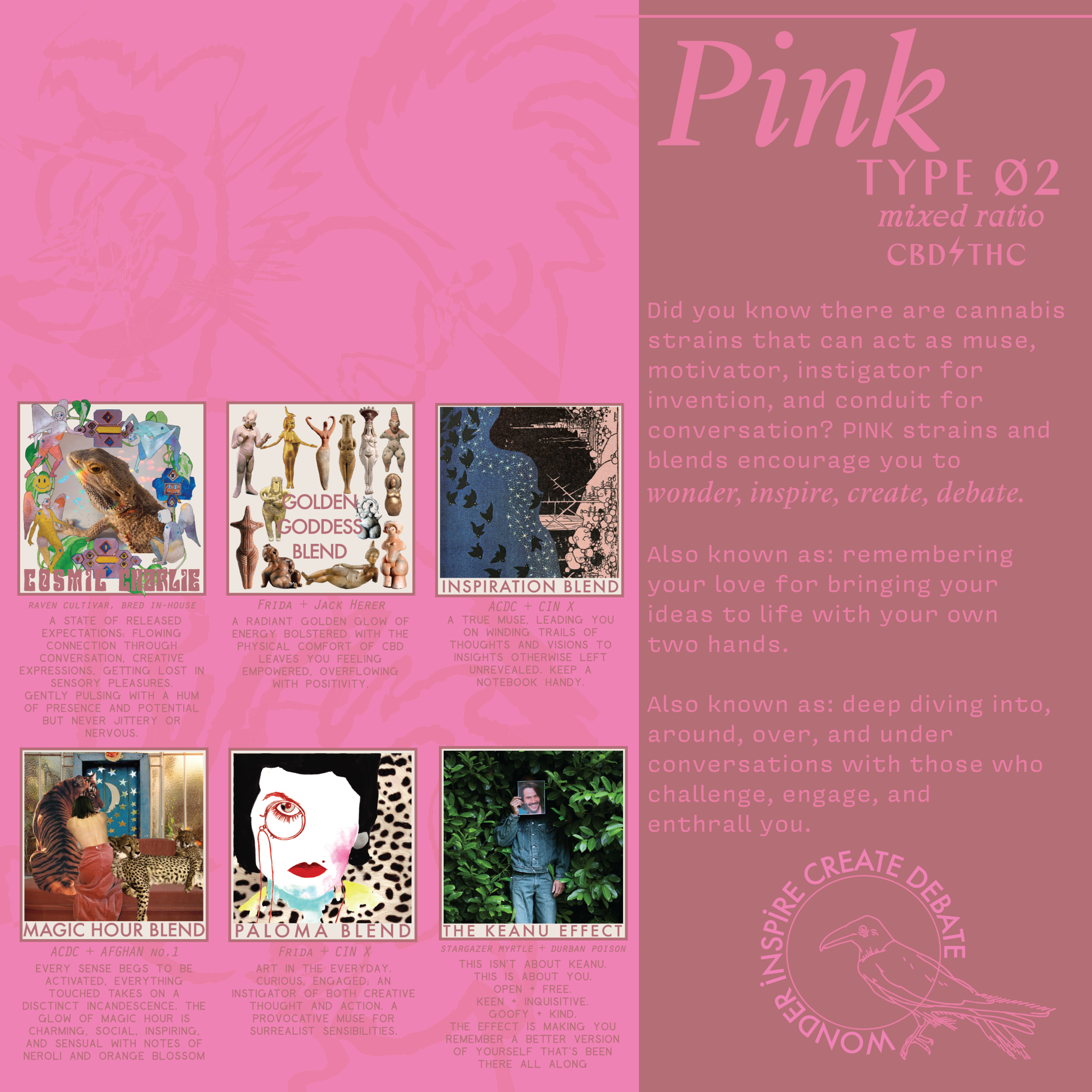 11_PINK_EDUBOOK-01.png