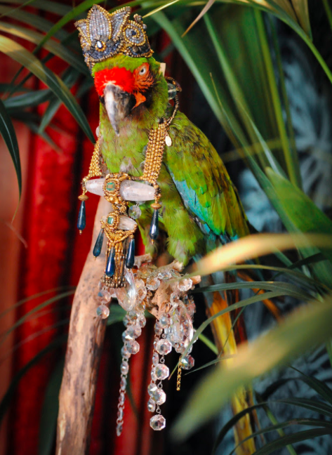 Galerie Vauclair TCH Collection Jewelry.png