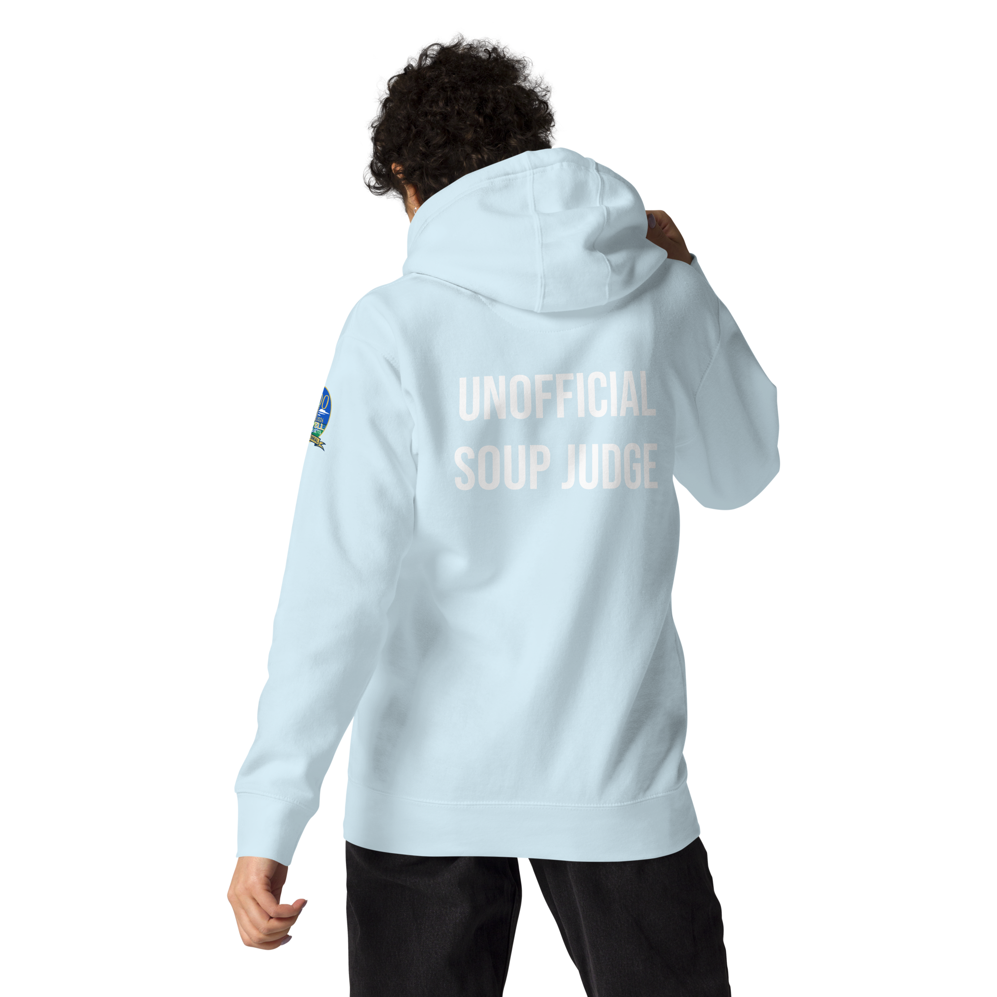 cotton-heritage-m2580-i-unisex-premium-pullover-hoodie-sky-blue-back-698e041e69227.png