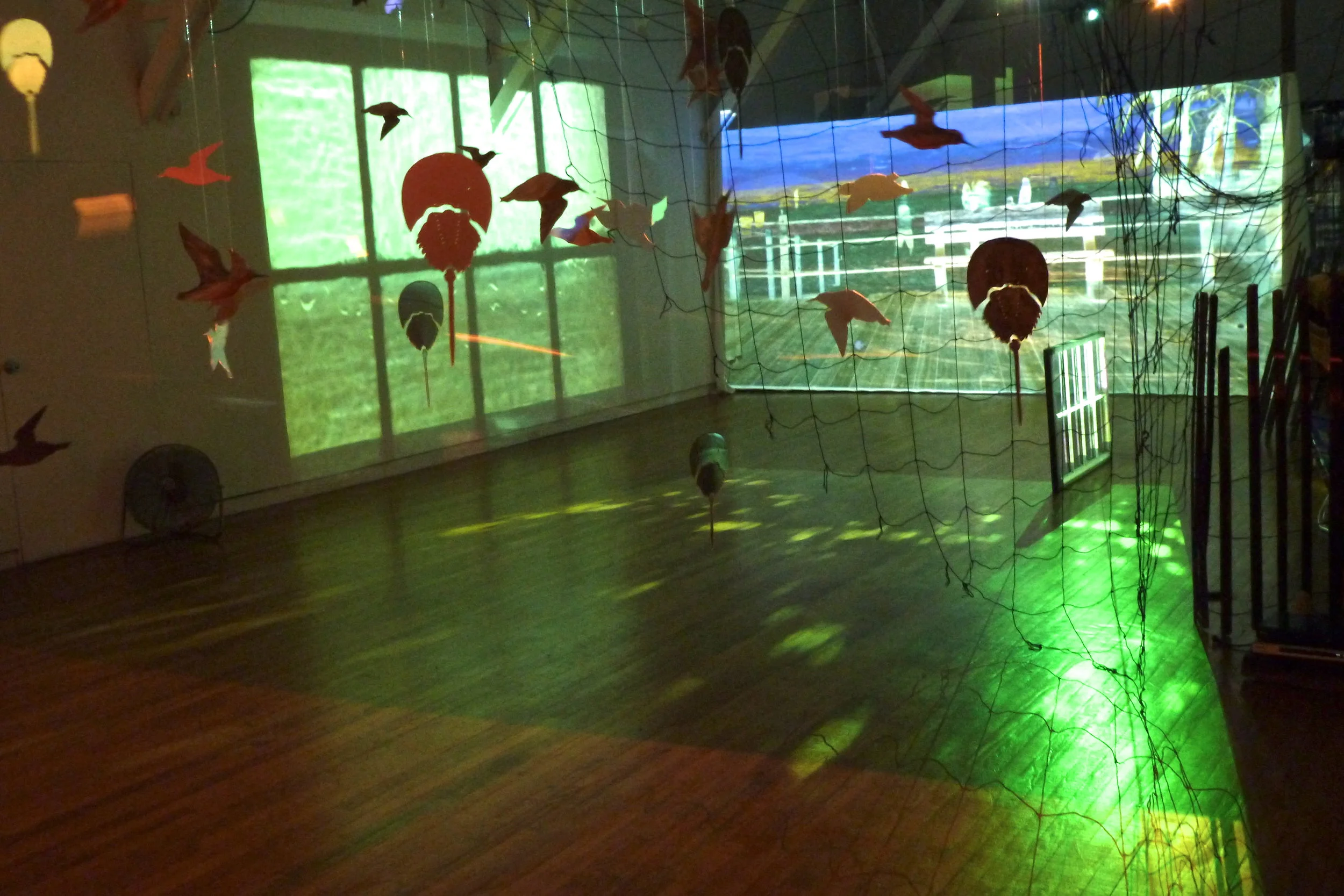 P1000267.JPG