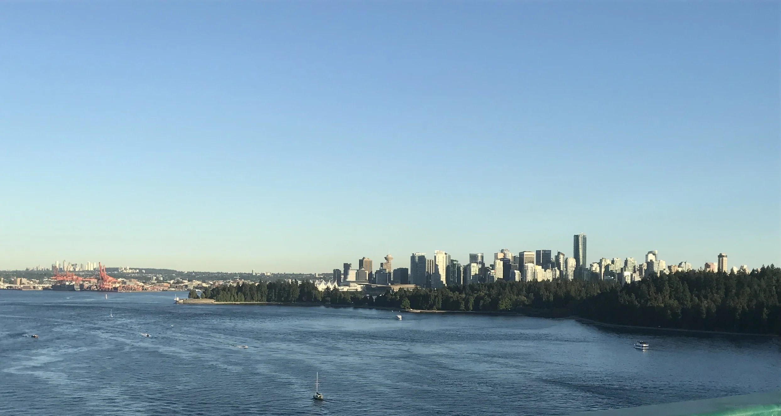 Vancouver Roof Cleaning