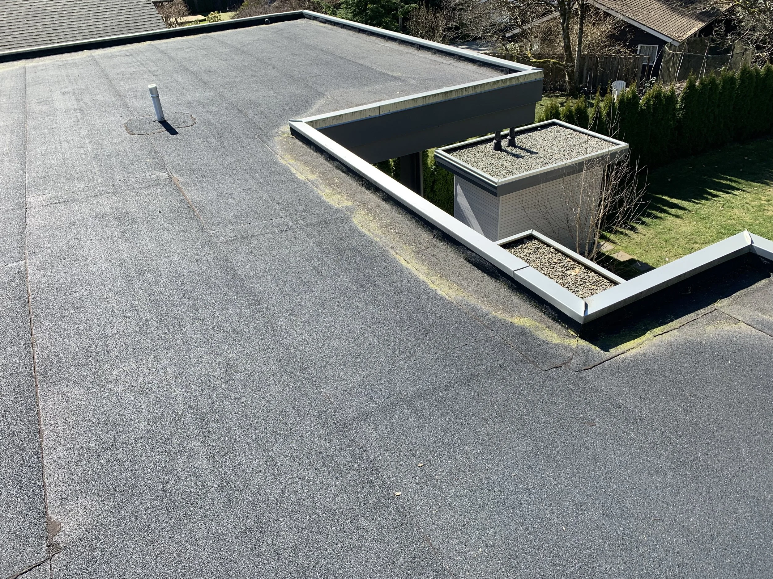 TorchOnRoof.jpeg
