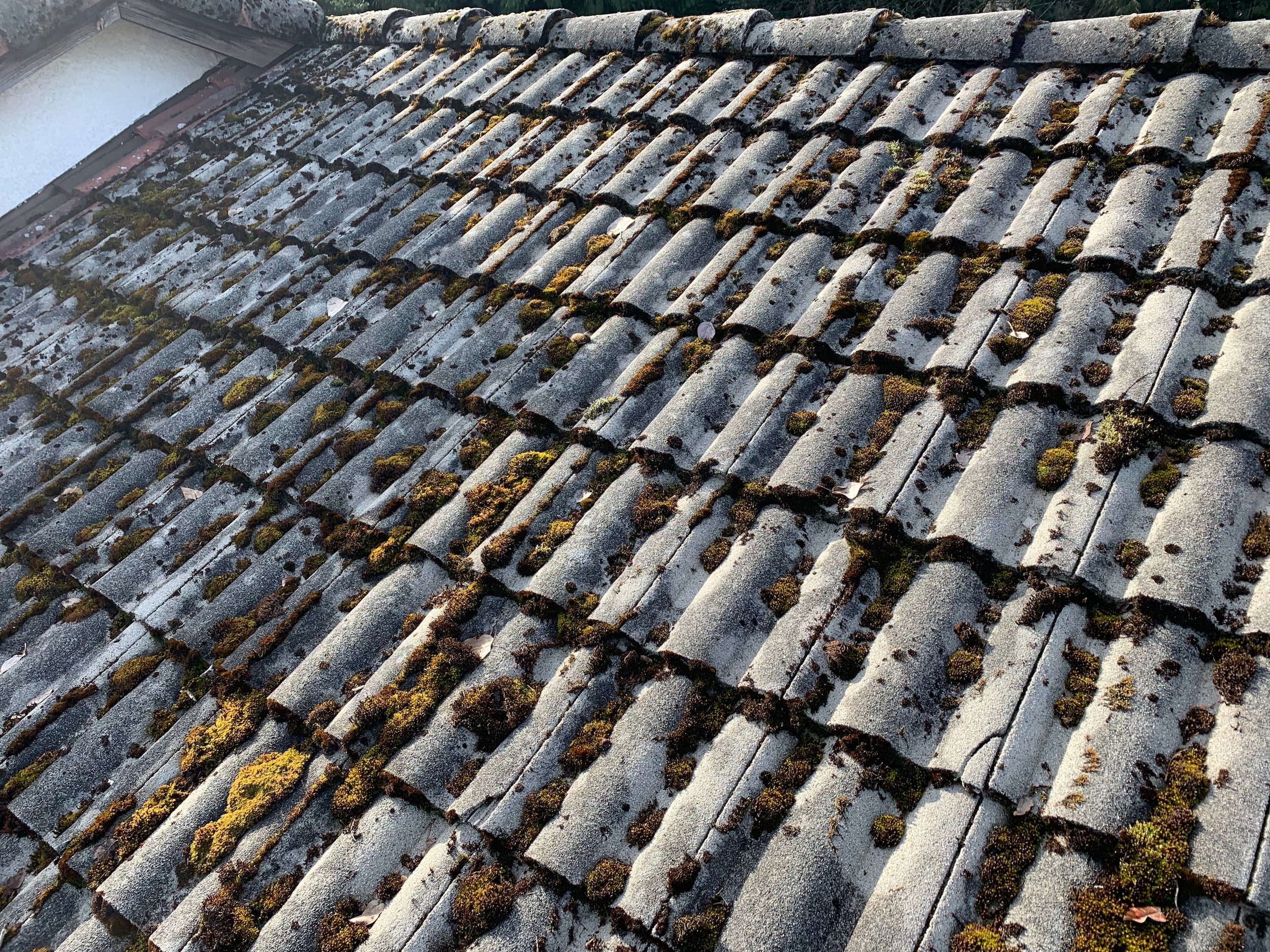 Barrel Tile Roof Cleaning Moss Removal Coastal Roof Cleaning Experts