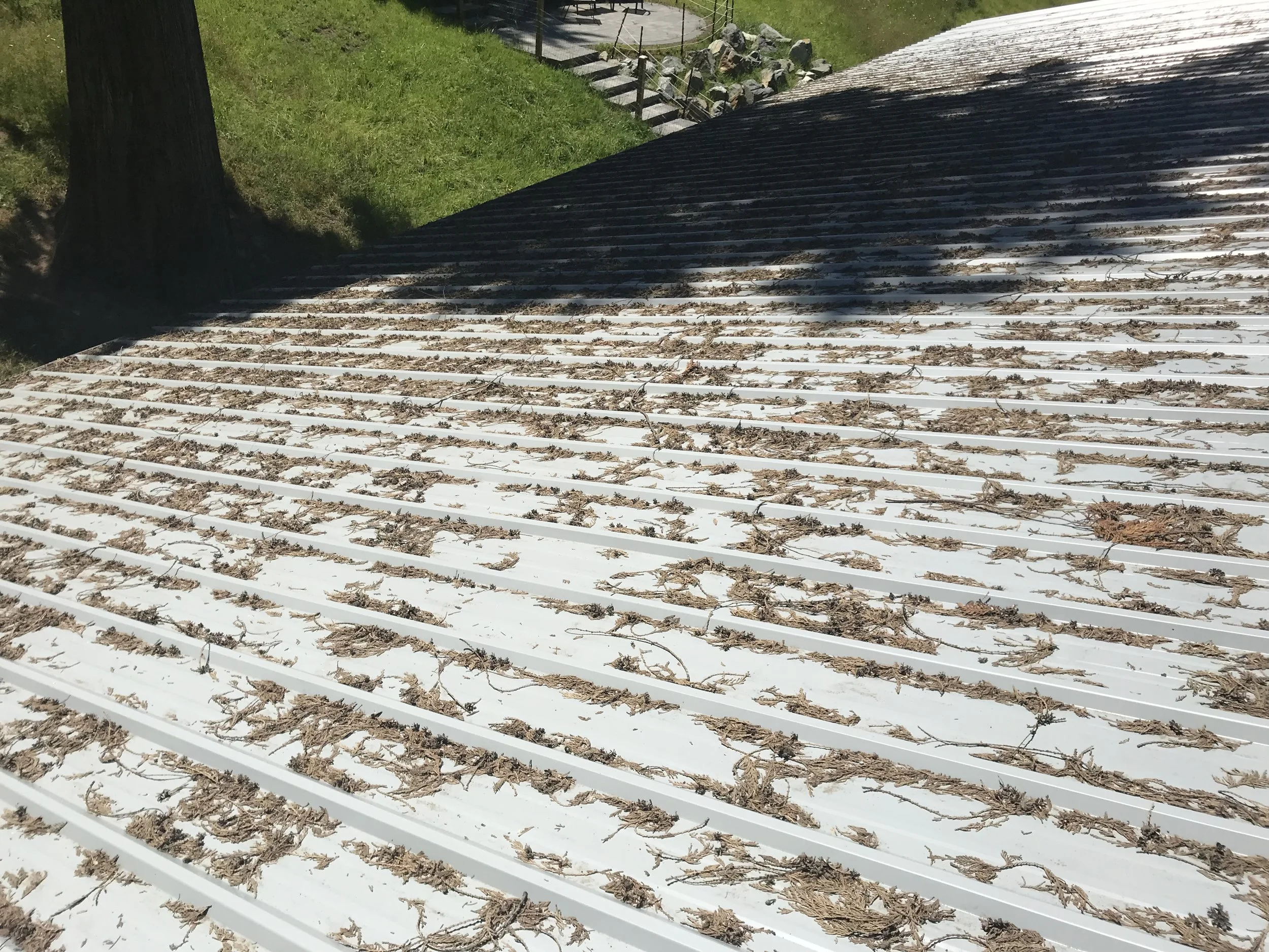 MetalRoof.jpg