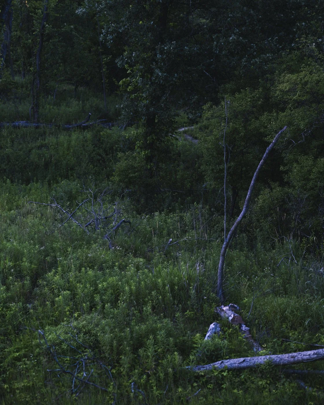 iuy-9.jpg