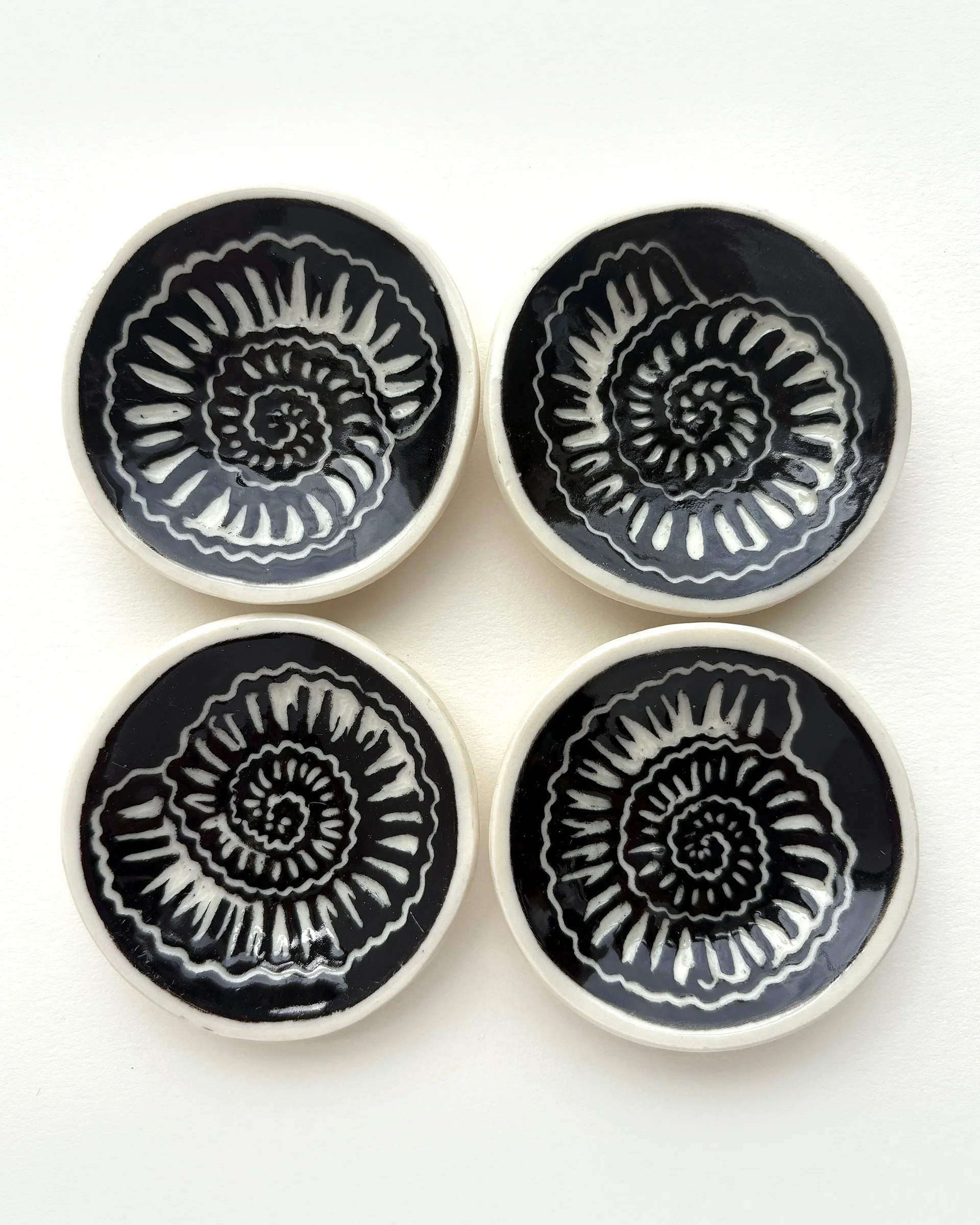 Ammonite dishes.jpg