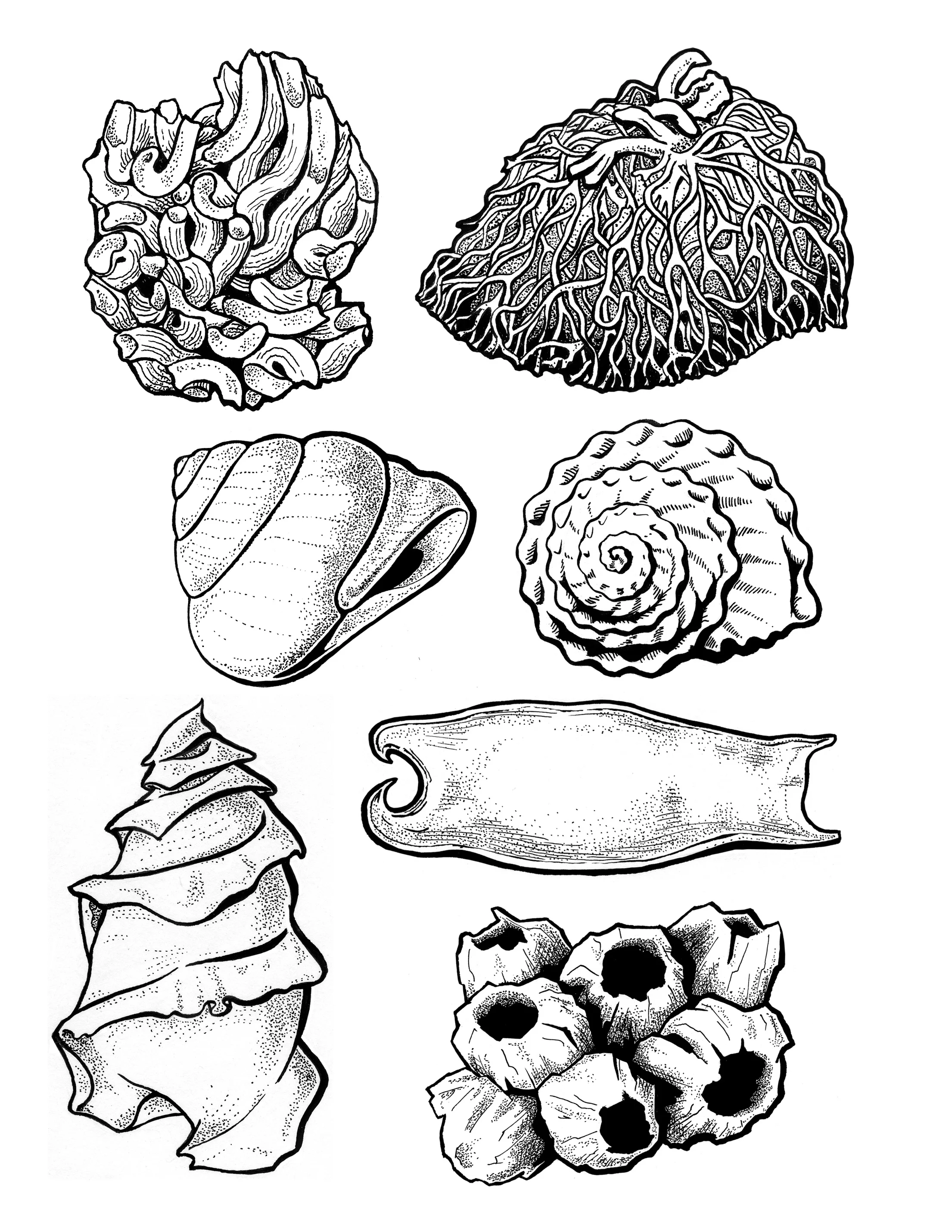 Tide pool combo 1.jpg