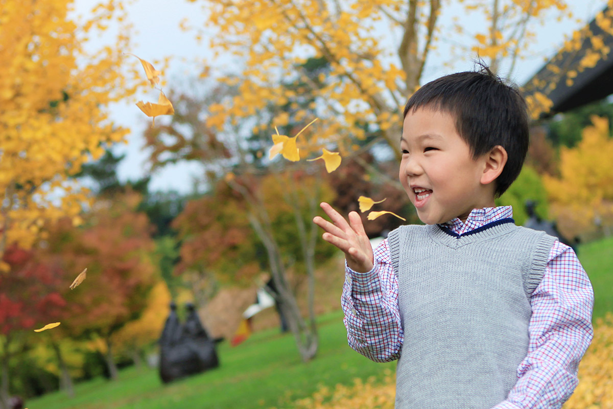 Ginkgo copy.jpg