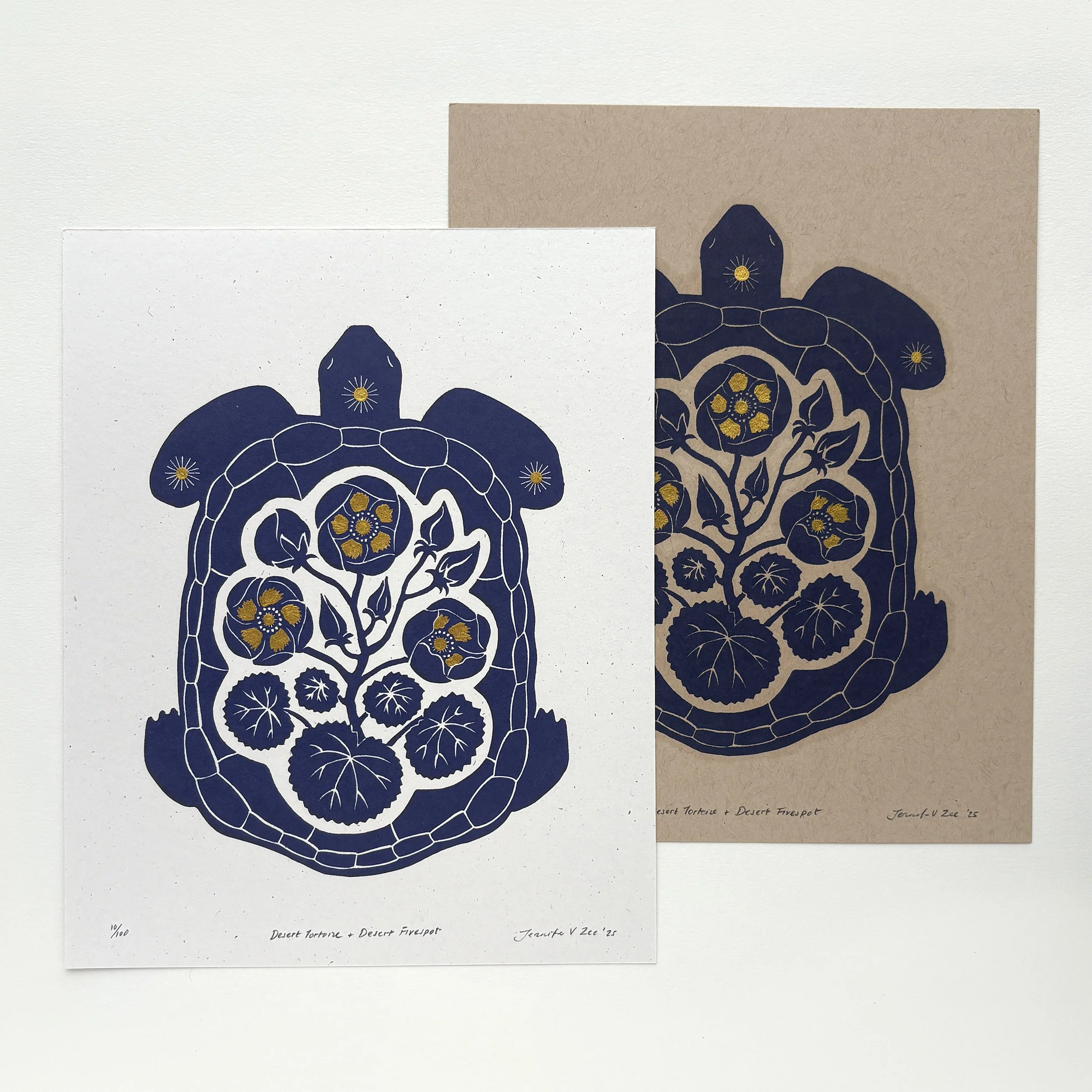 Tortoise Five Spot flatlay.jpg