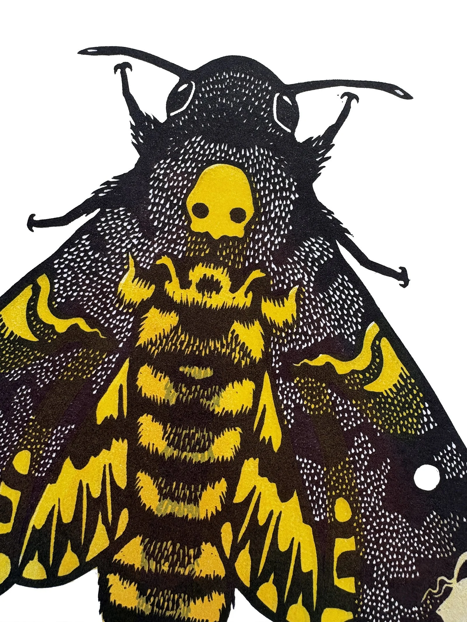 Death Moth Detail 2.jpg