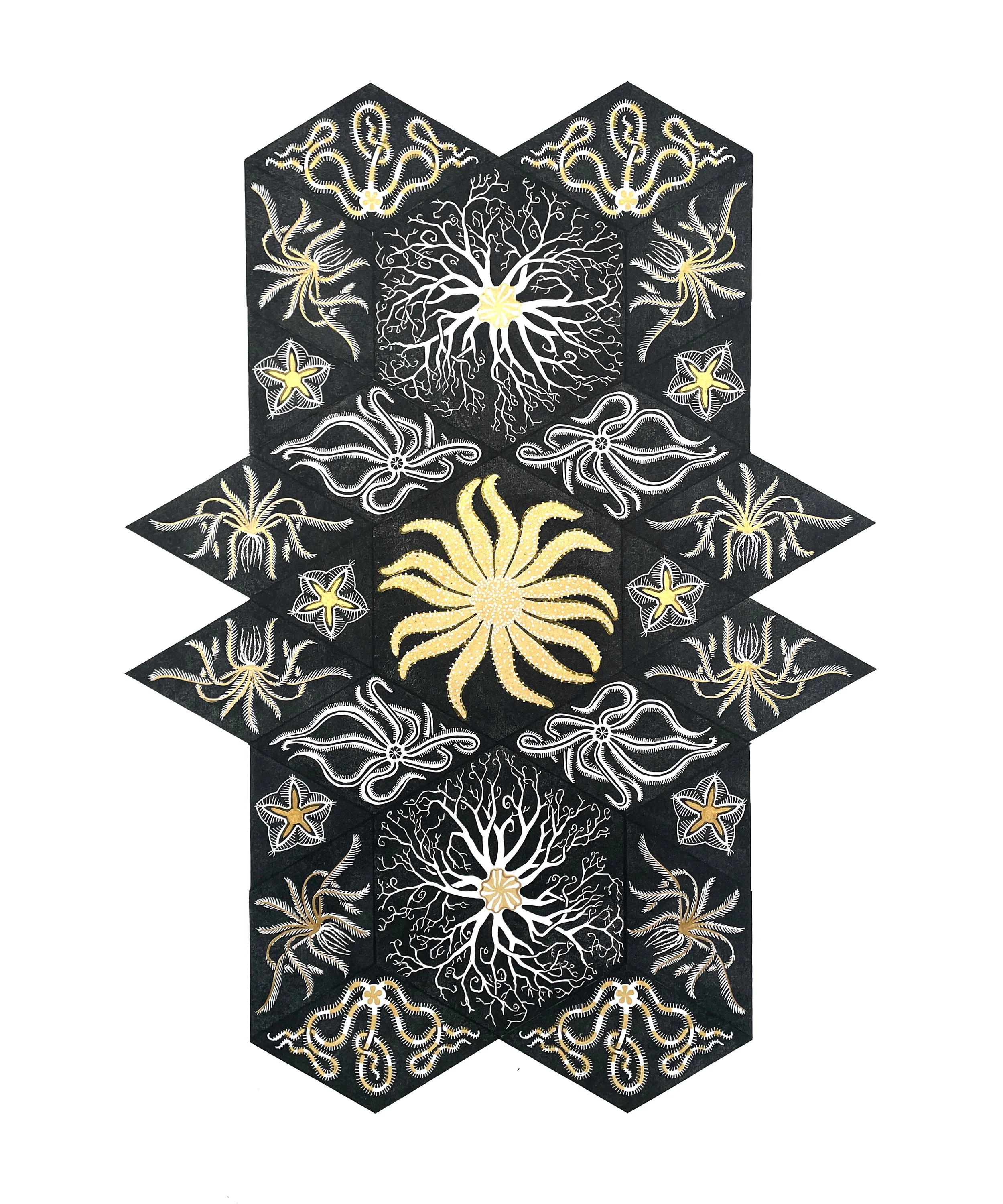 Jennifer Zee - 5 Deep Sea Sea Stars.jpeg