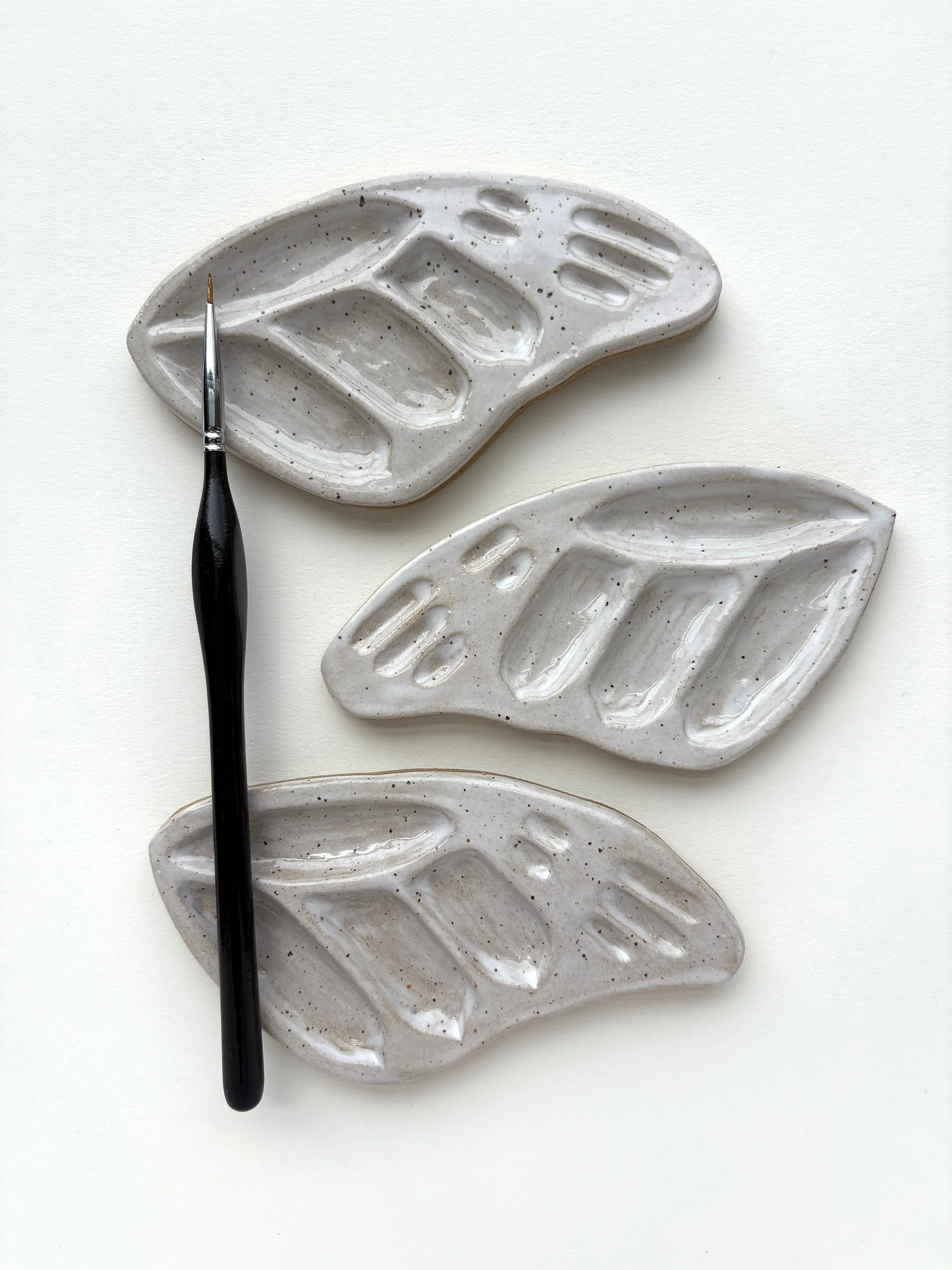Butterfly wing palette.jpg